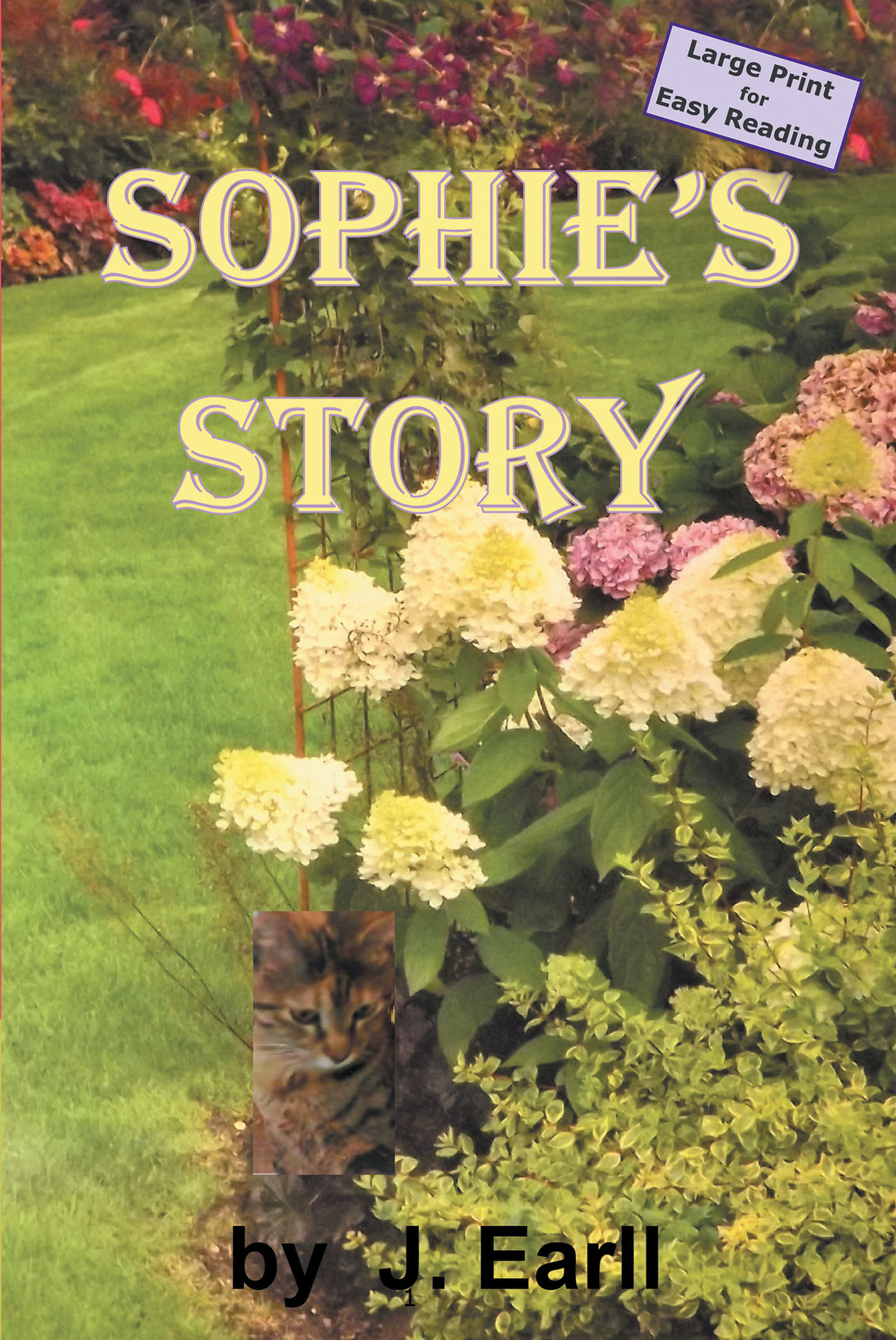 Sophie's Story Cover Image