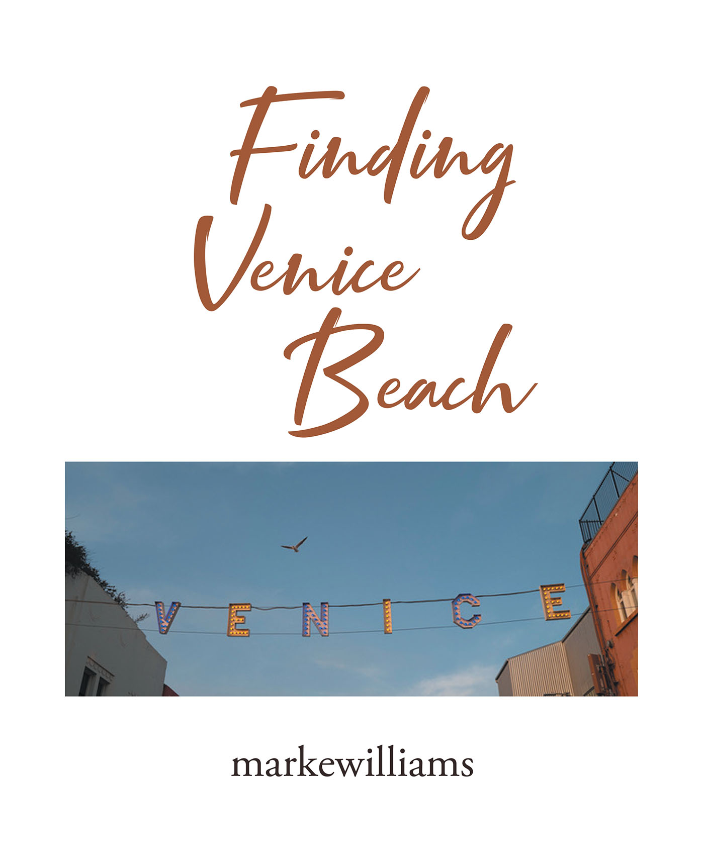 Finding Venice Beach Cover Image