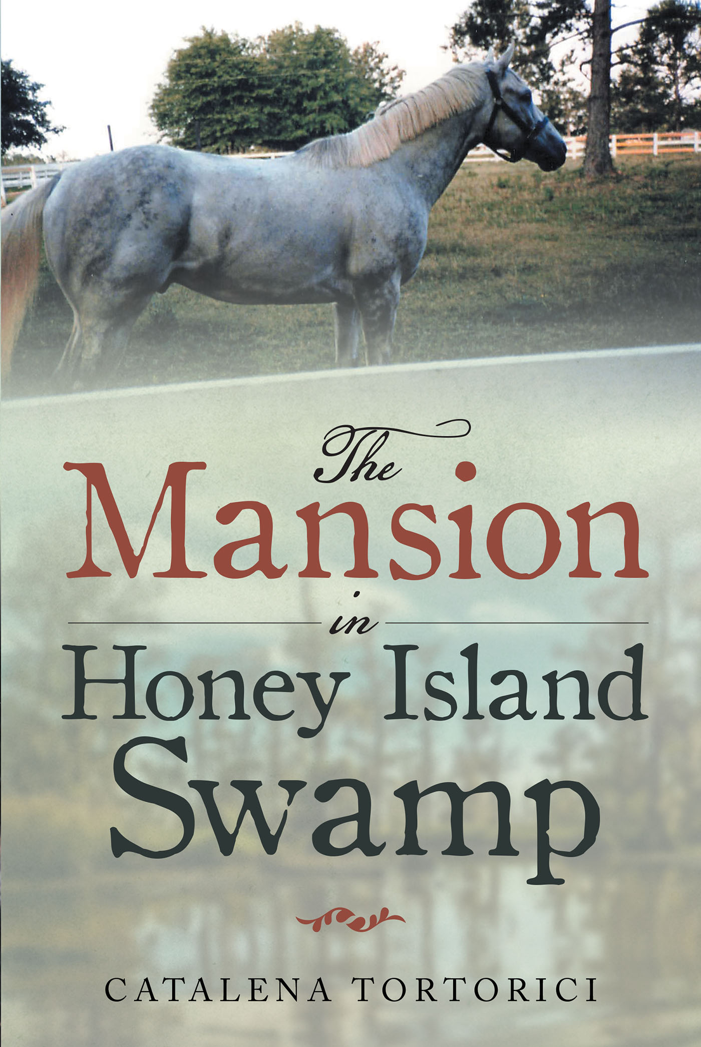 The Mansion in Honey Island Swamp Cover Image