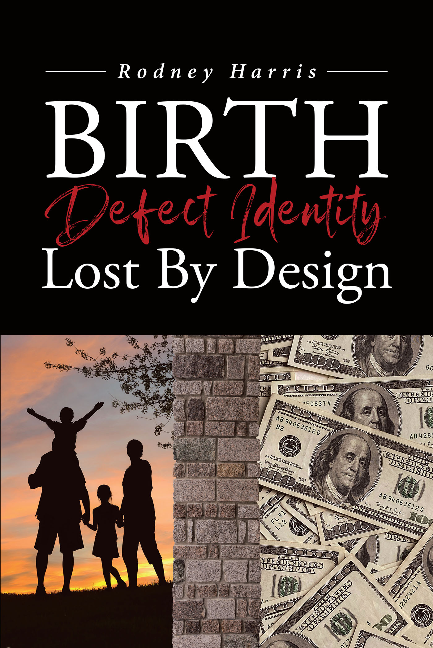 Birth Defect Identity Lost By Design Cover Image