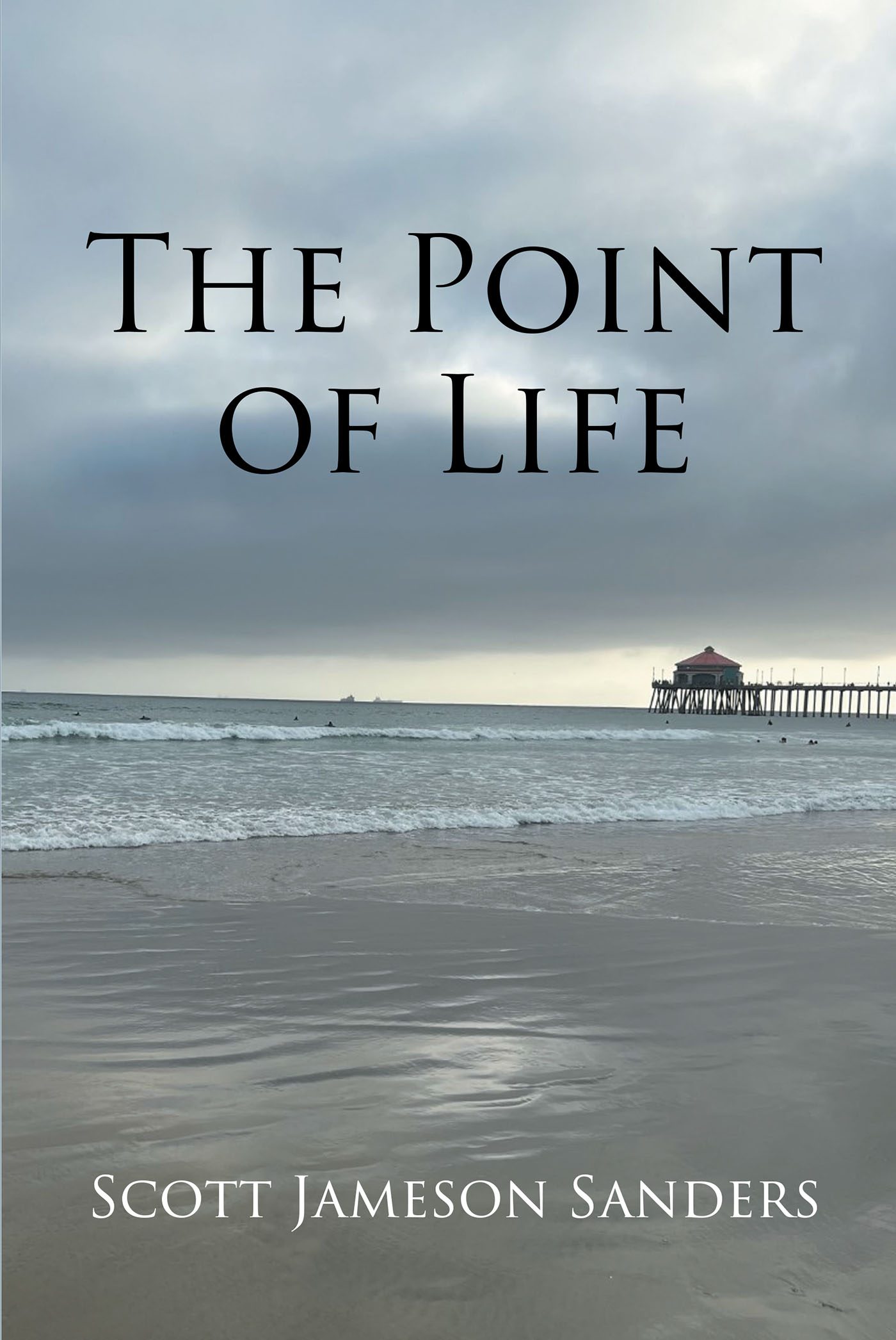 The Point of Life Cover Image
