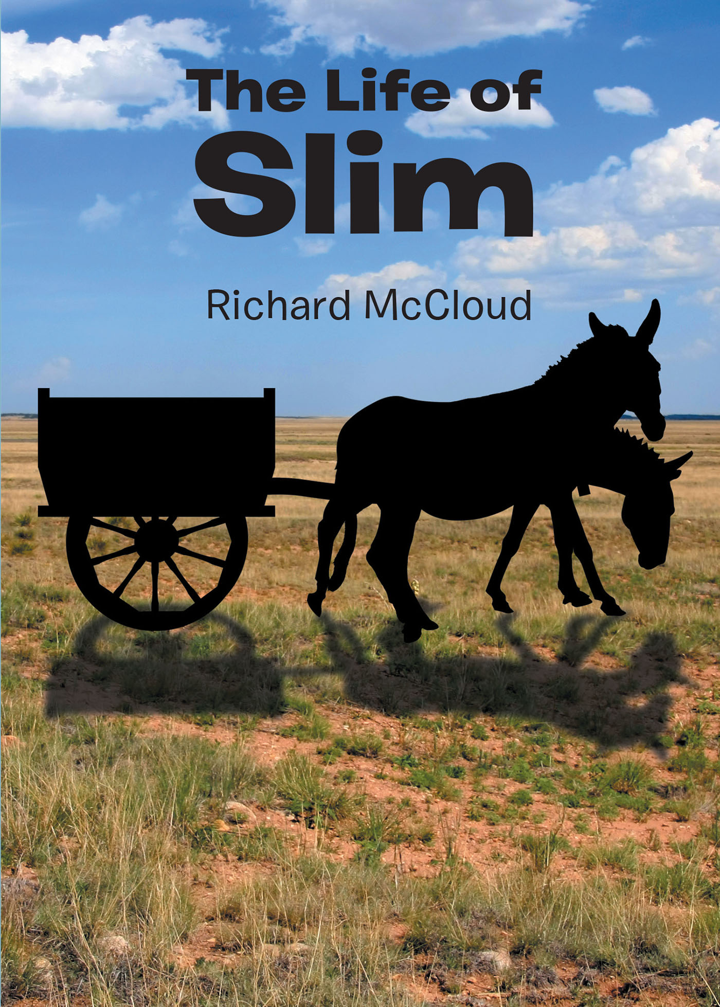 The Life of Slim Cover Image