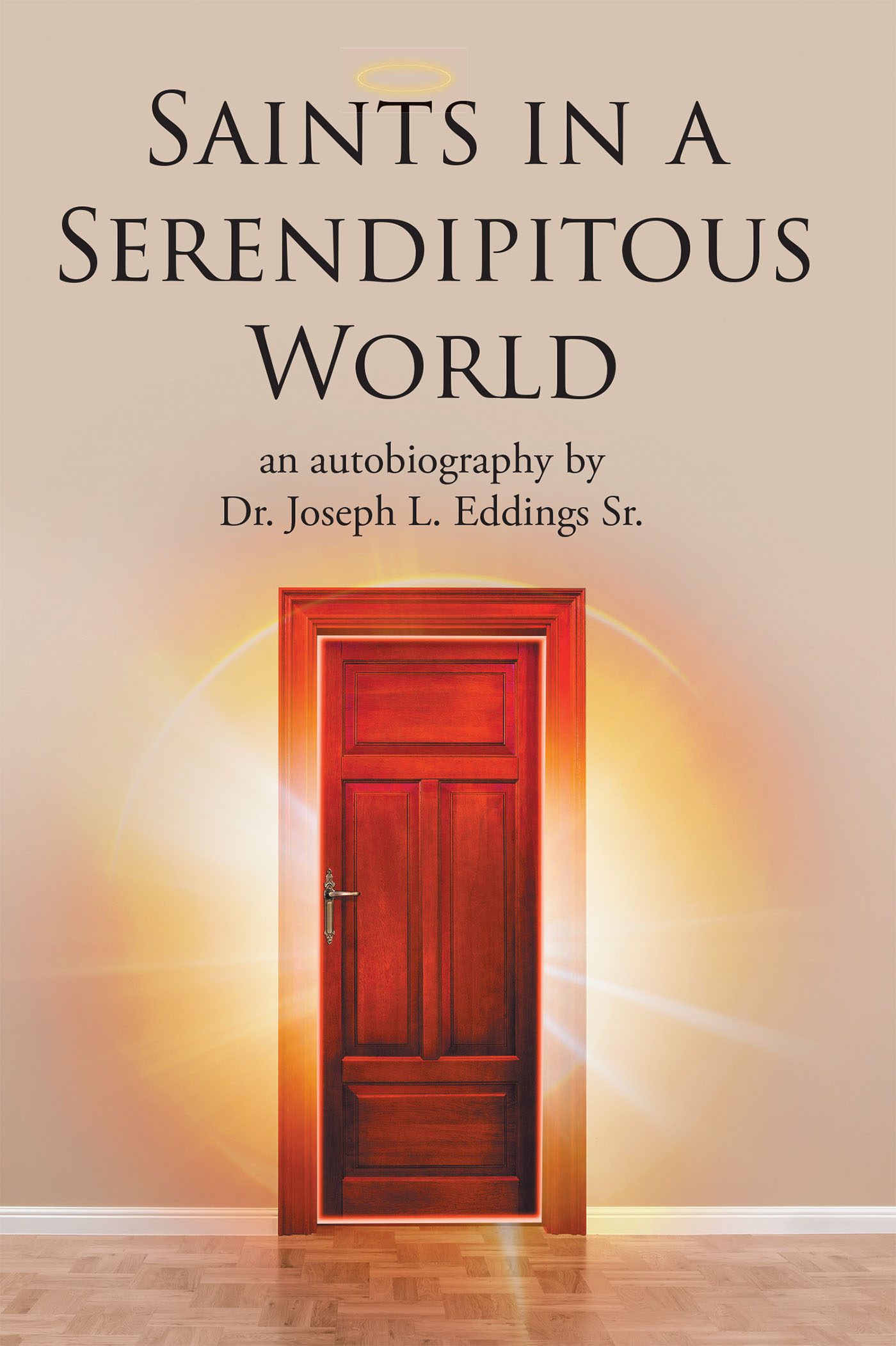 Saints in a Serendipitous World Cover Image