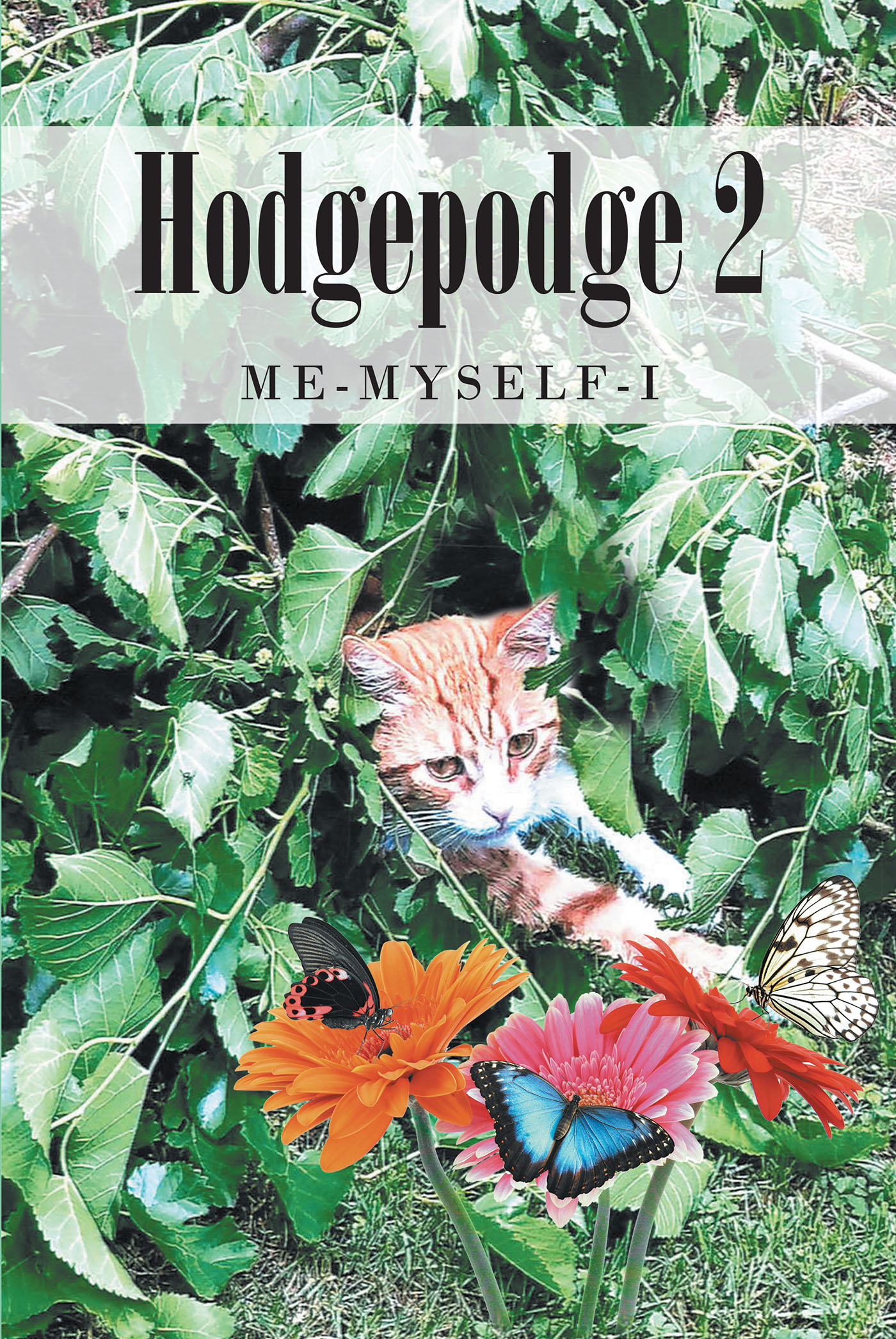 Hodgepodge 2 Cover Image