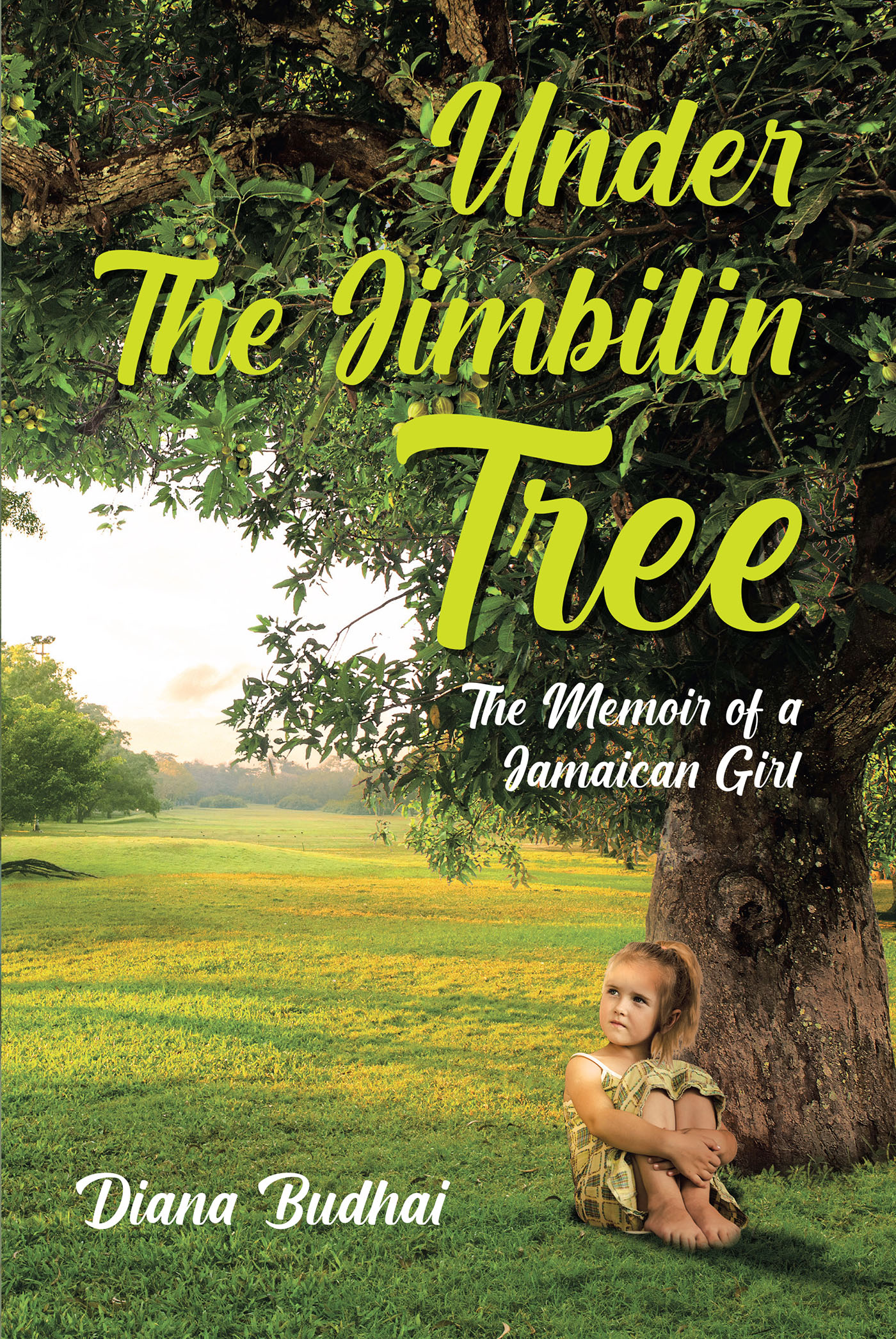 Under The Jimbilin Tree Cover Image