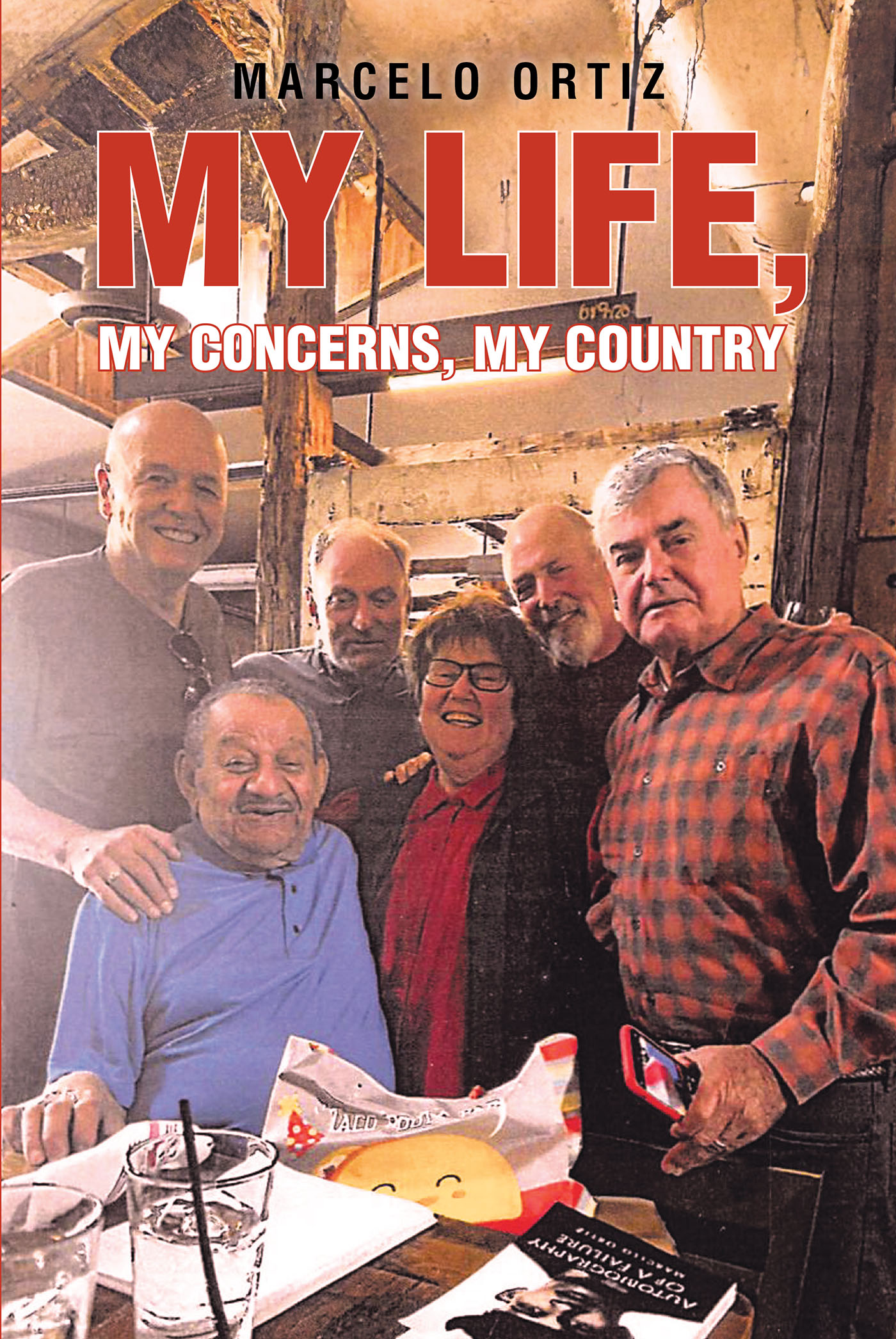 My Life, My Concerns, My Country Cover Image