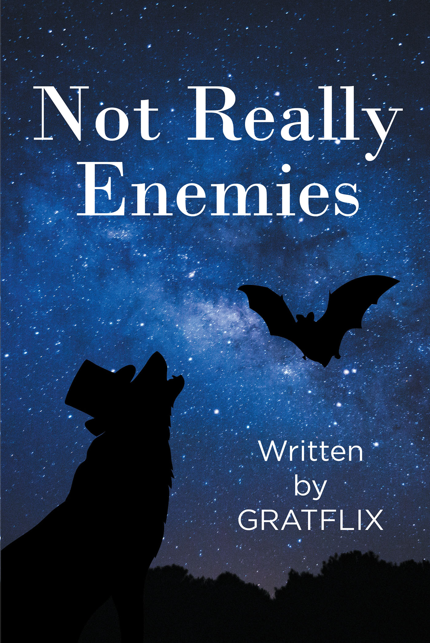 Not Really Enemies Cover Image