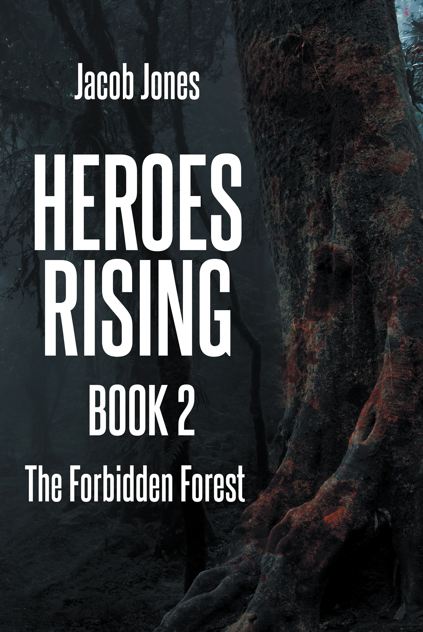 Heroes Rising Book 2 Cover Image