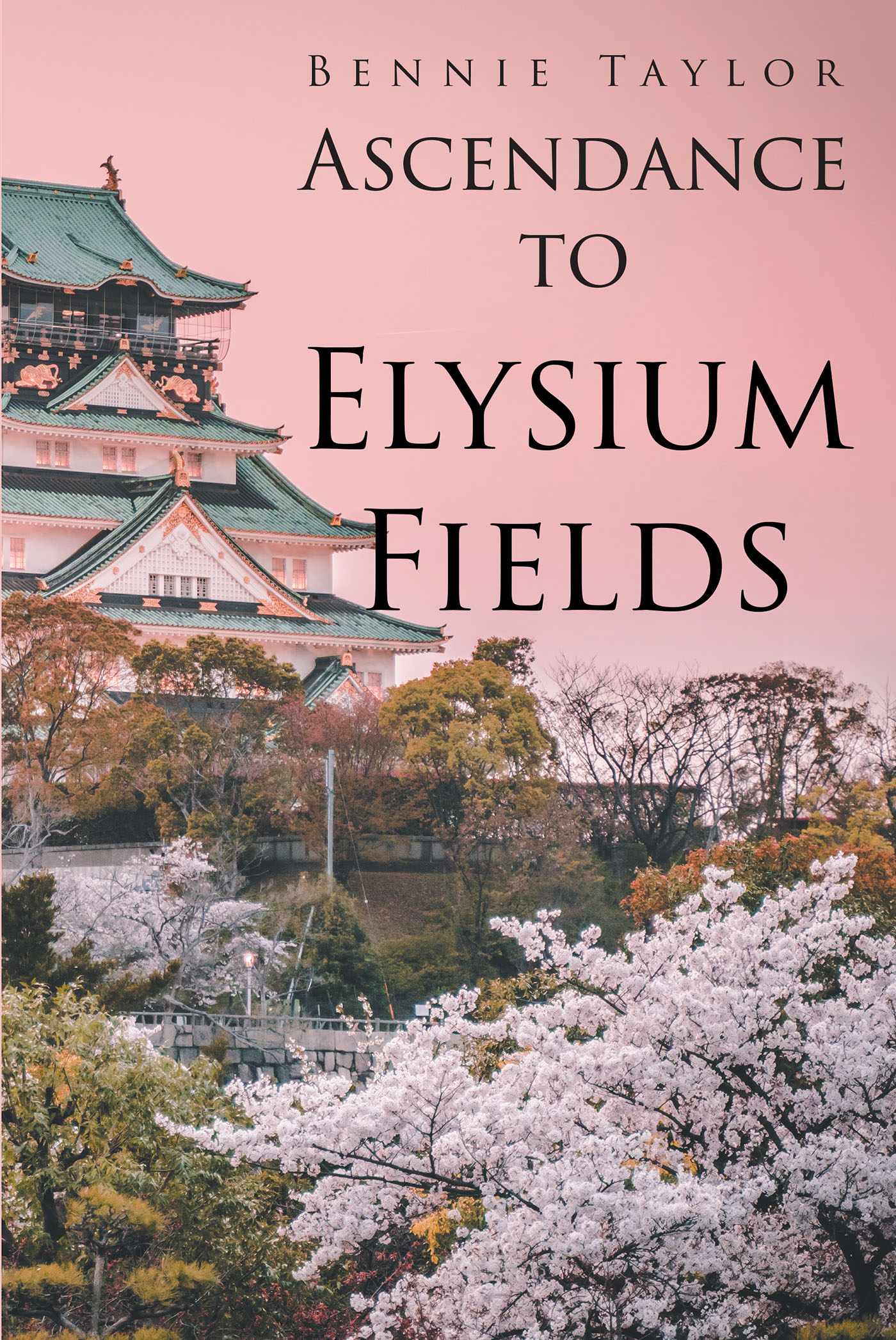 Ascendance to Elysium Fields Cover Image