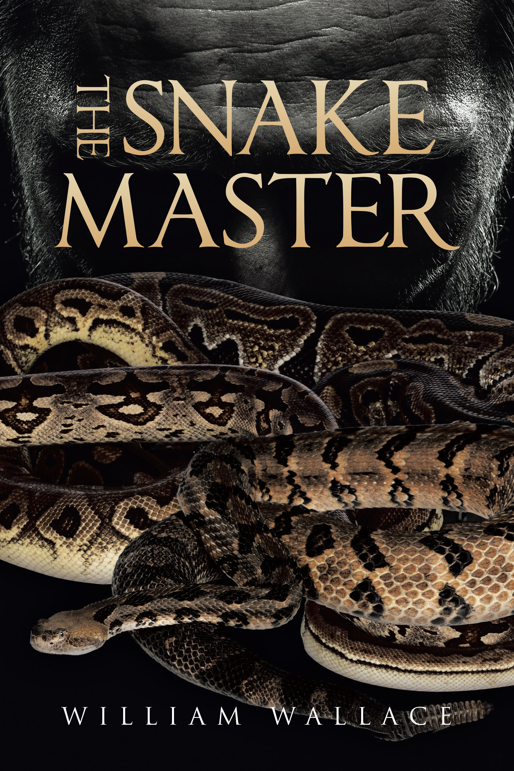 The Snake Master Cover Image
