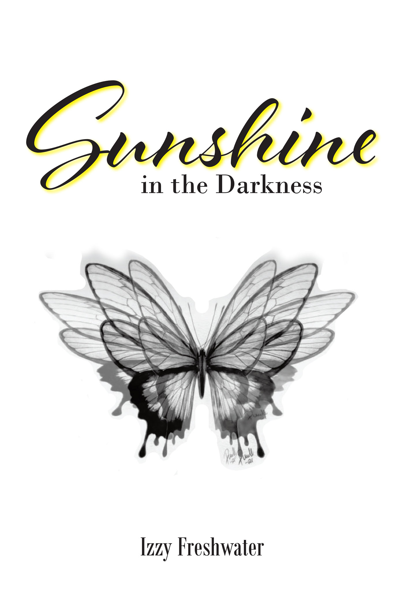 Sunshine In The Darkness  Cover Image