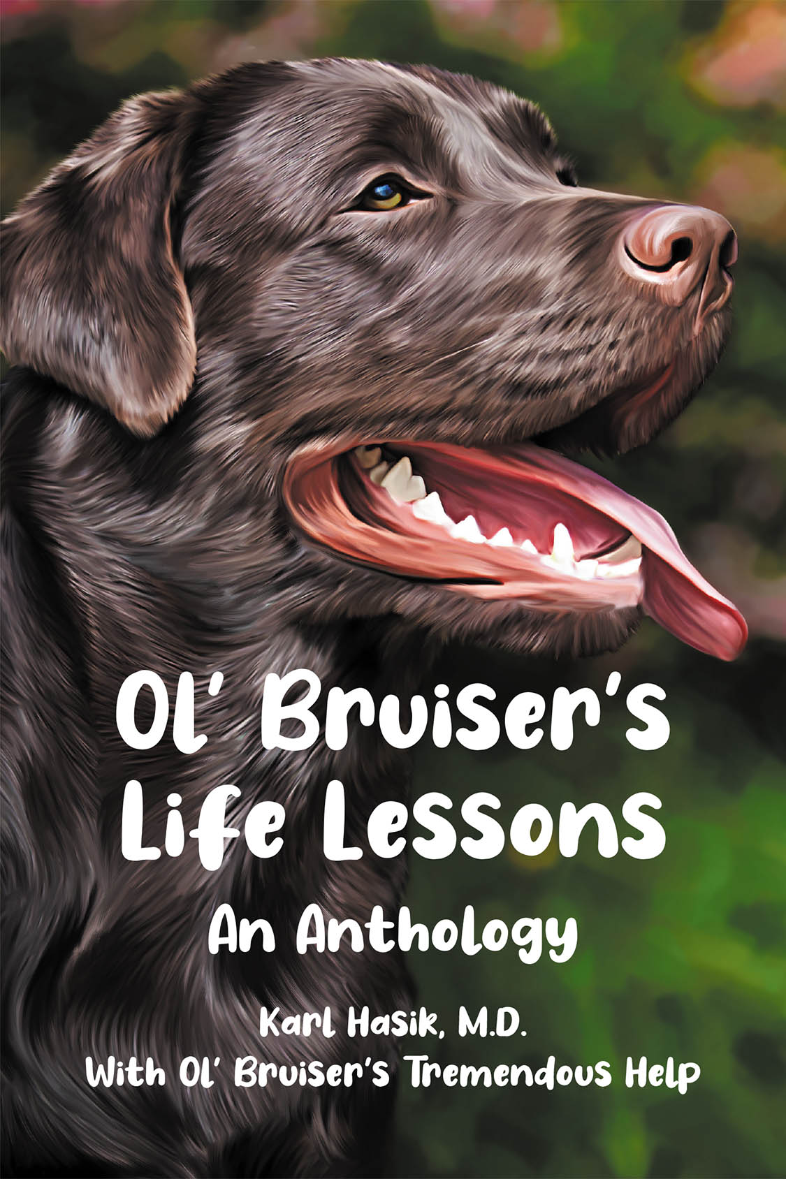 Ol' Bruiser's Life Lessons Cover Image