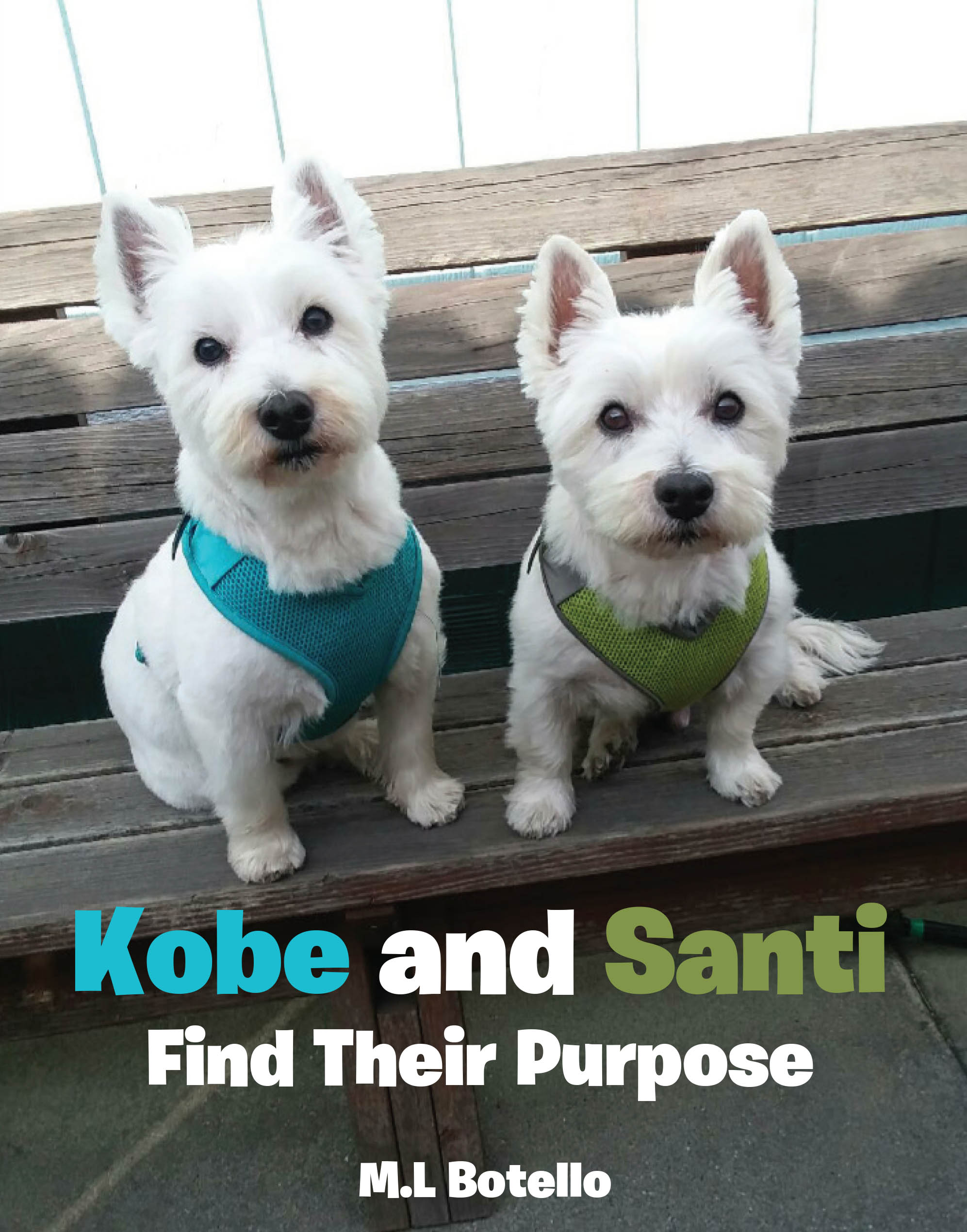 Kobe and Santi Find Their Purpose Cover Image