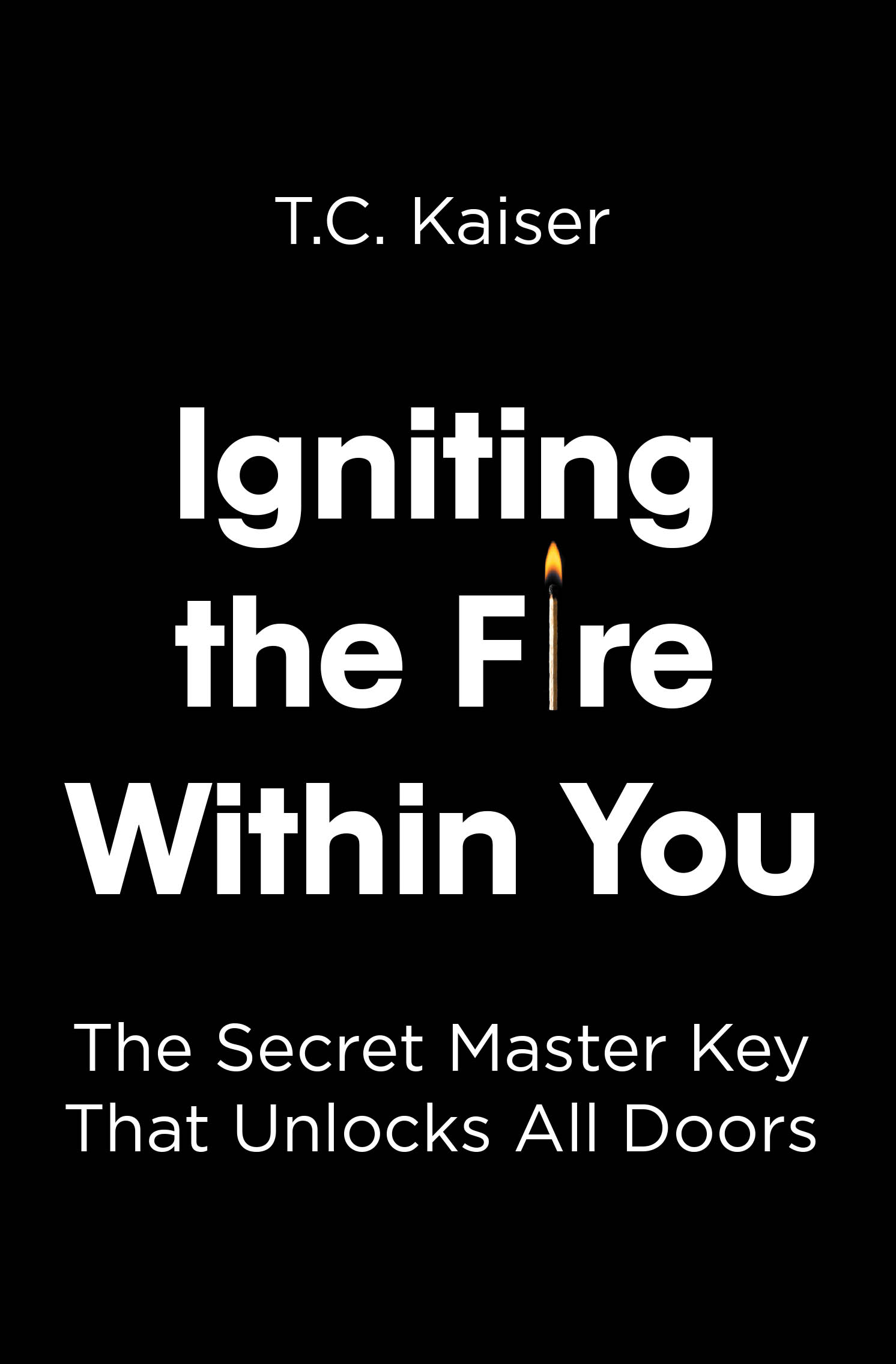 Igniting the Fire Within You Cover Image