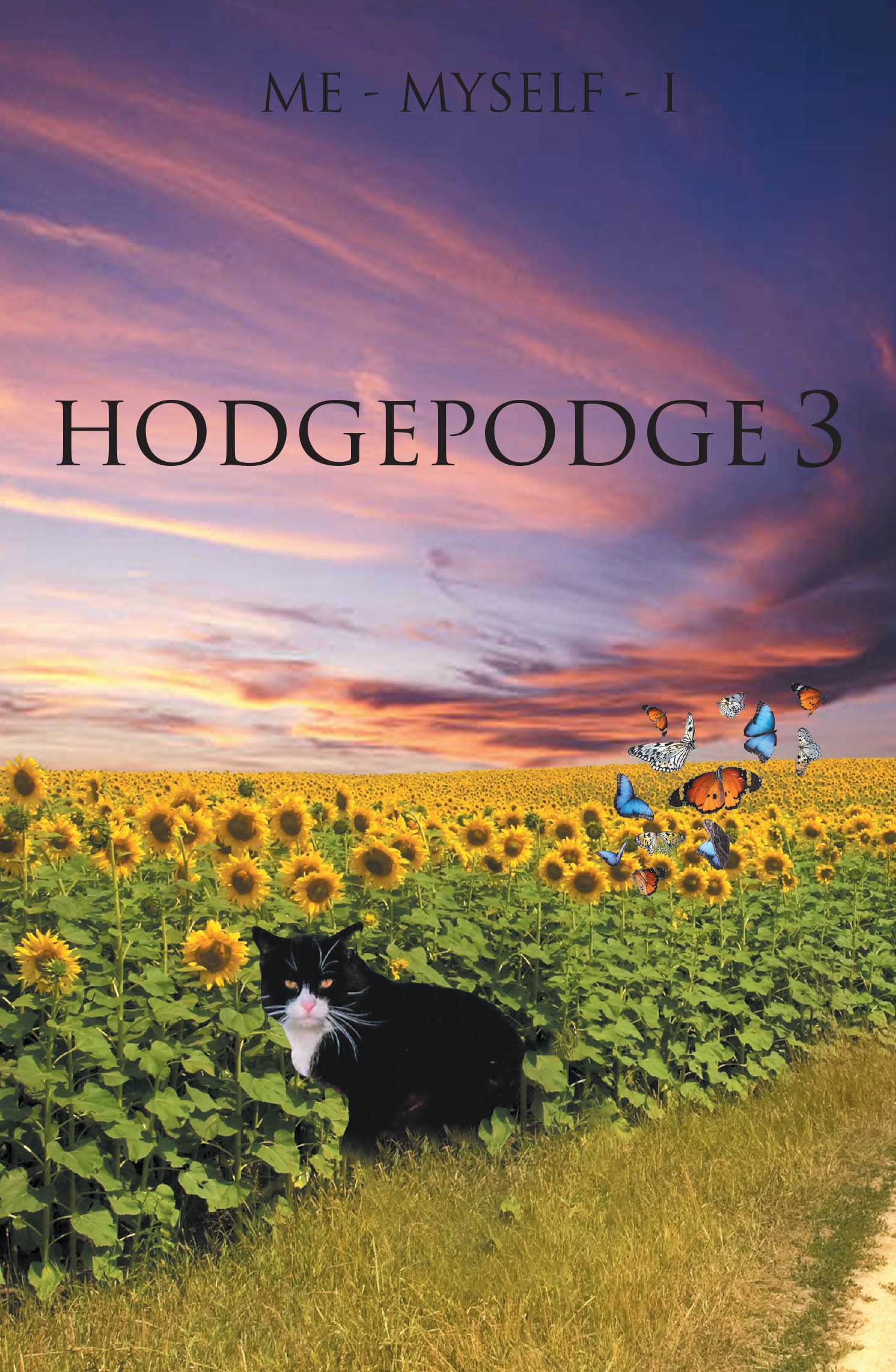 Hodgepodge 3 Cover Image