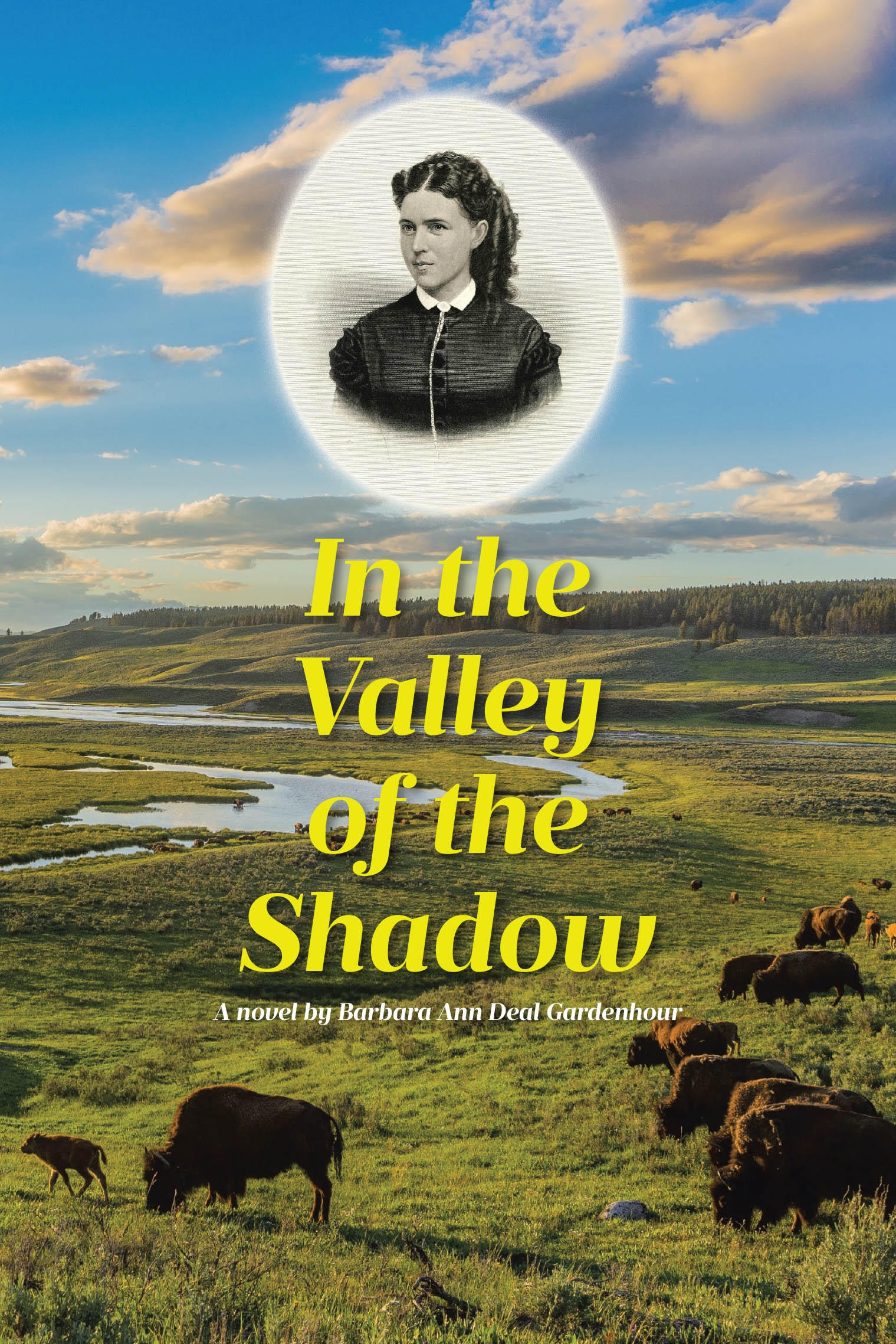 In the Valley of the Shadow Cover Image