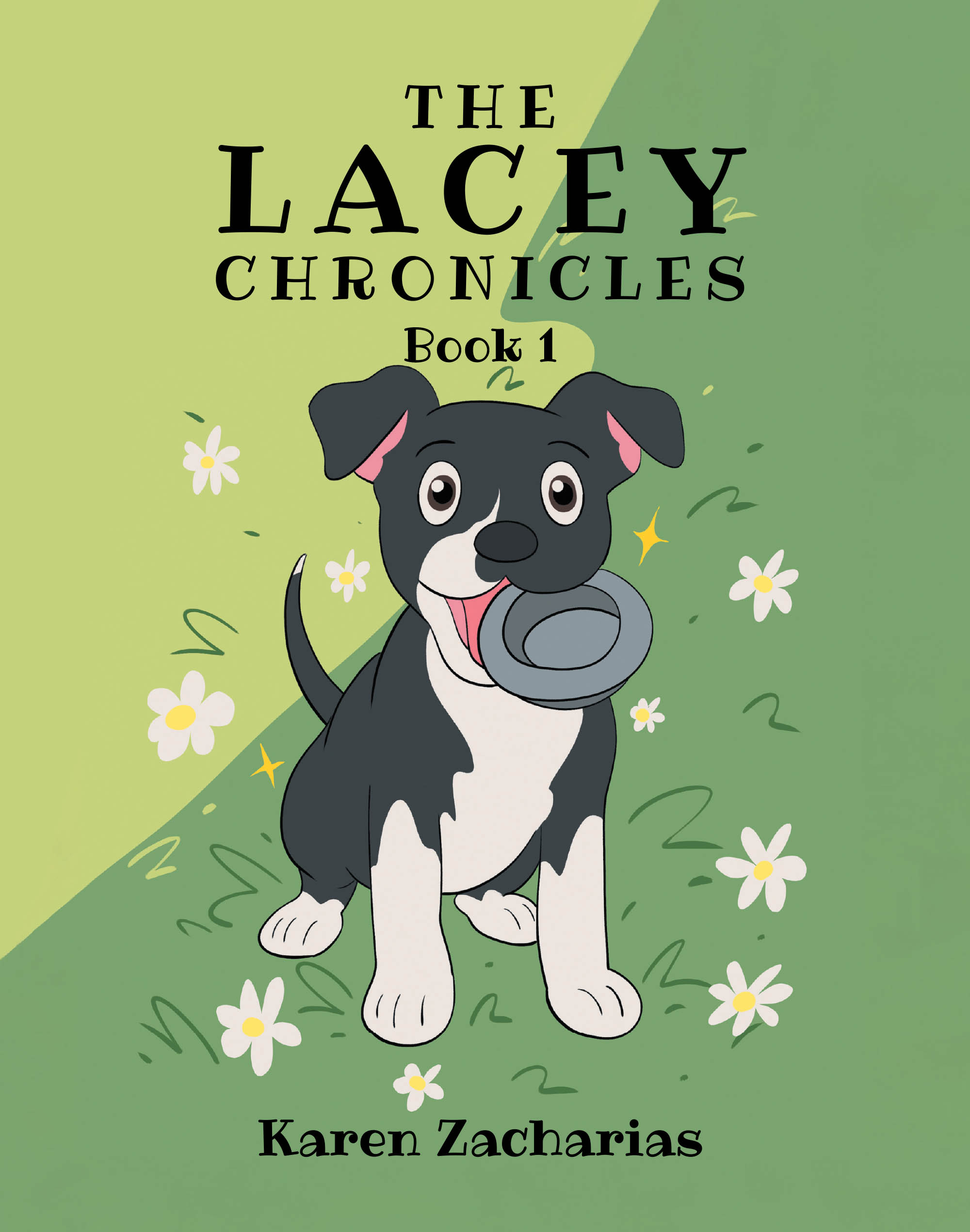 The Lacey Chronicles Cover Image