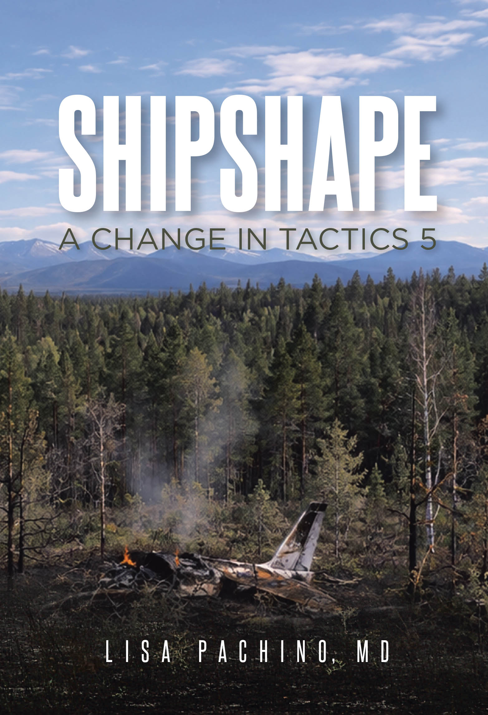 ShipShape Cover Image