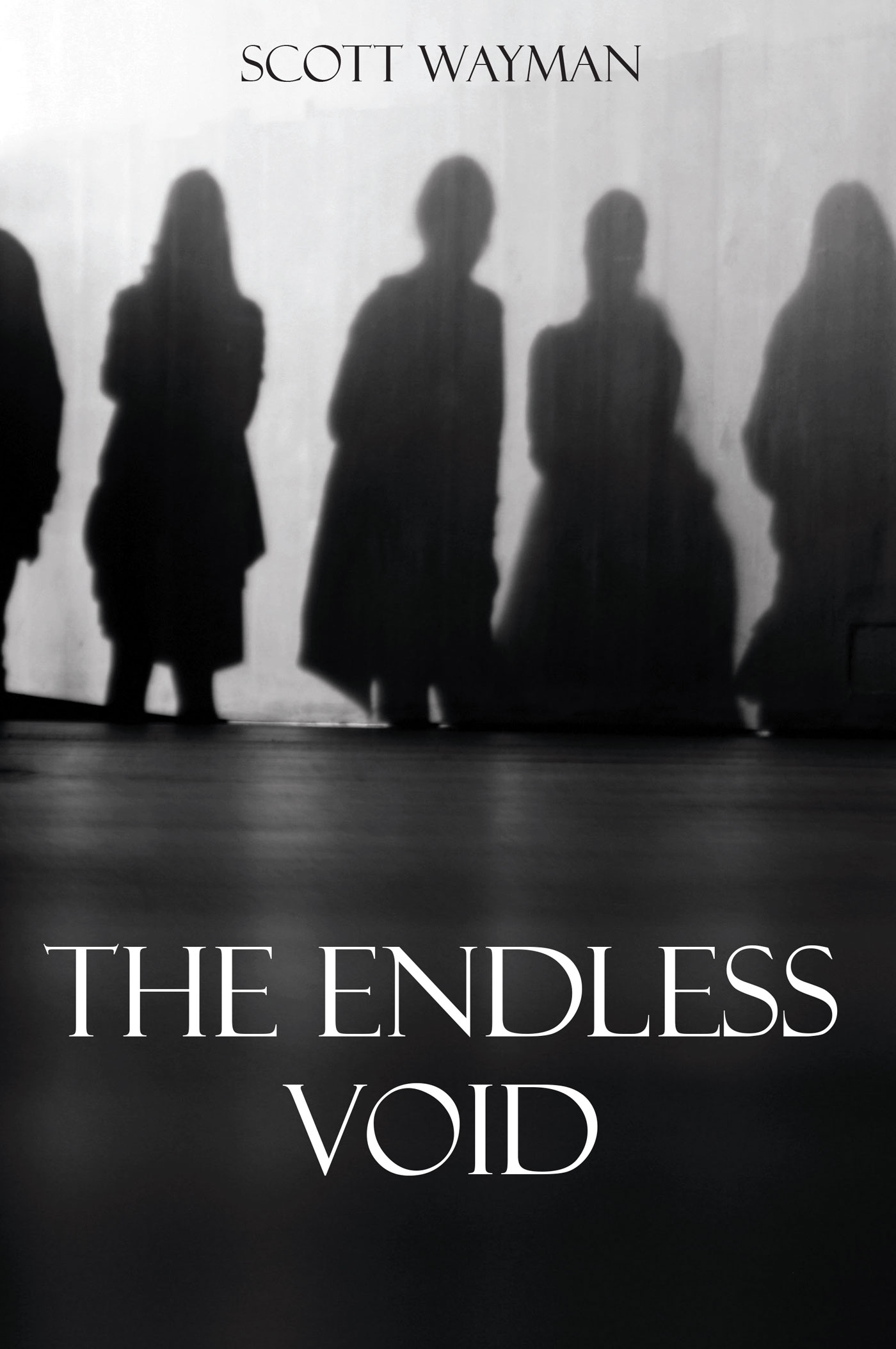 The Endless Void Cover Image