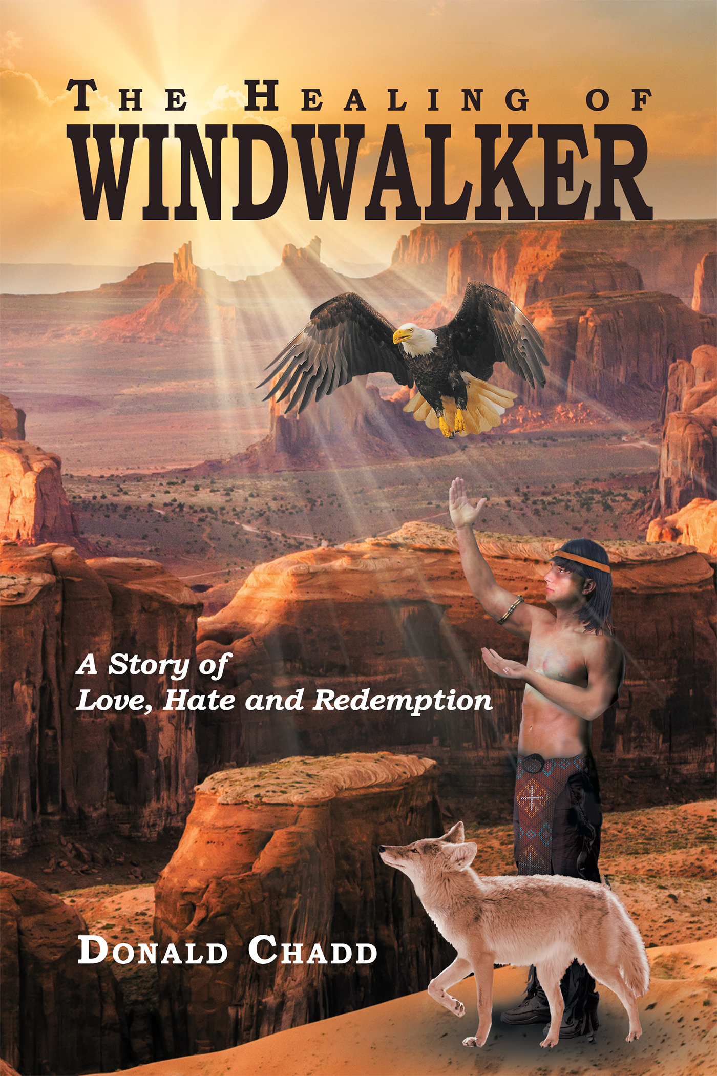 The Healing of Windwalker A Story of Love, Hate and Redemption Cover Image
