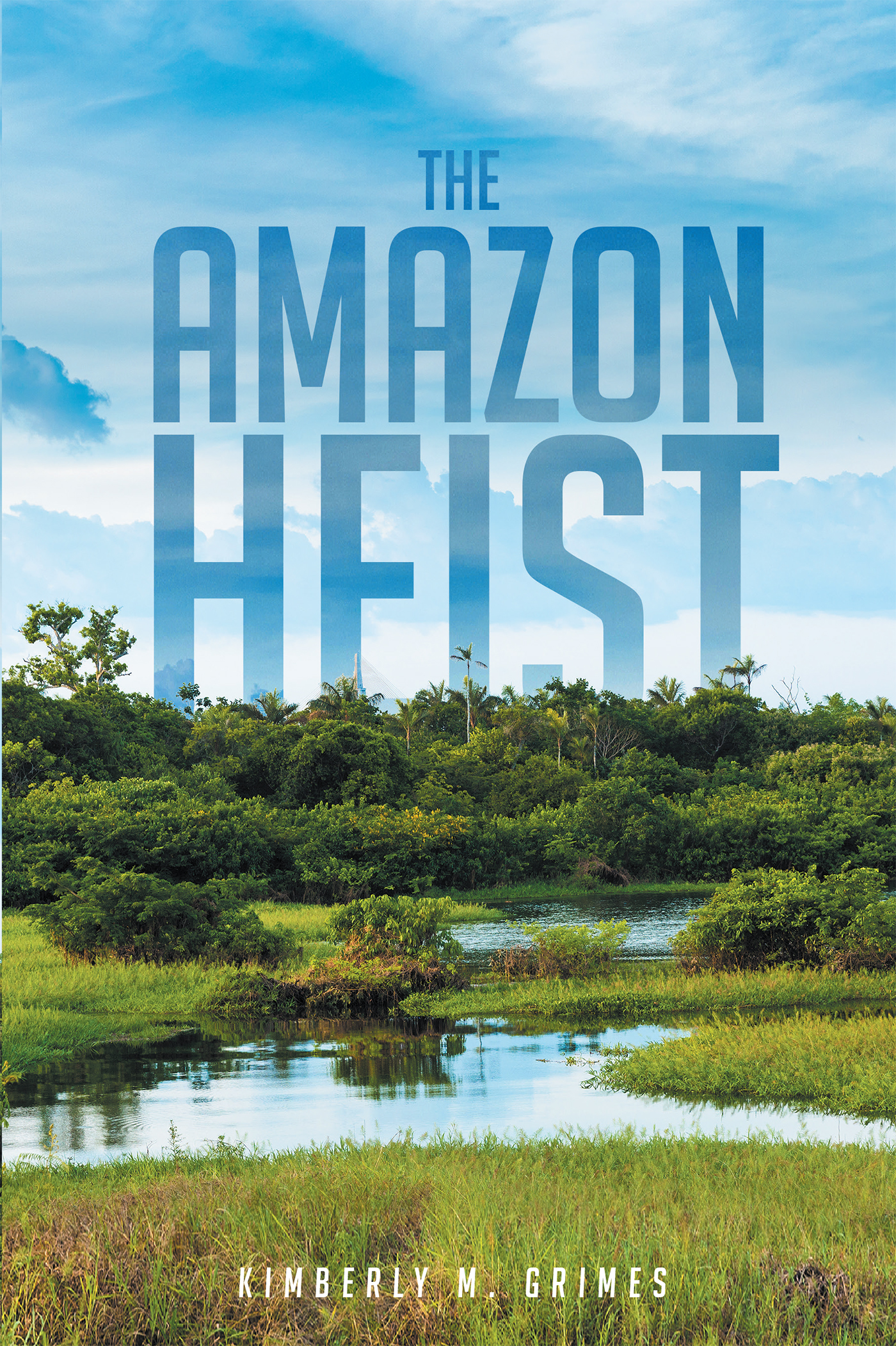 The Amazon Heist Cover Image