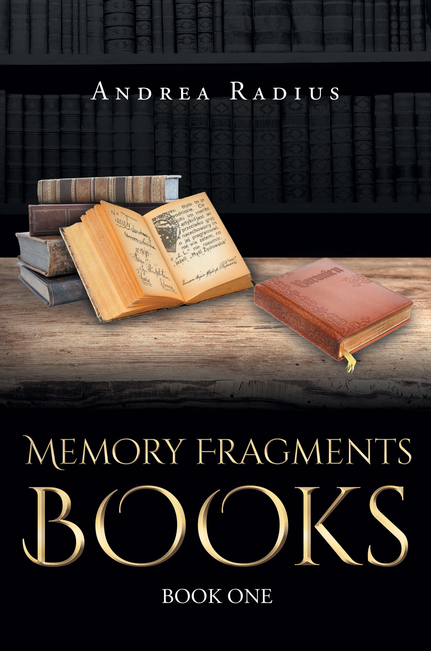 Memory Fragments Books-Book One Cover Image