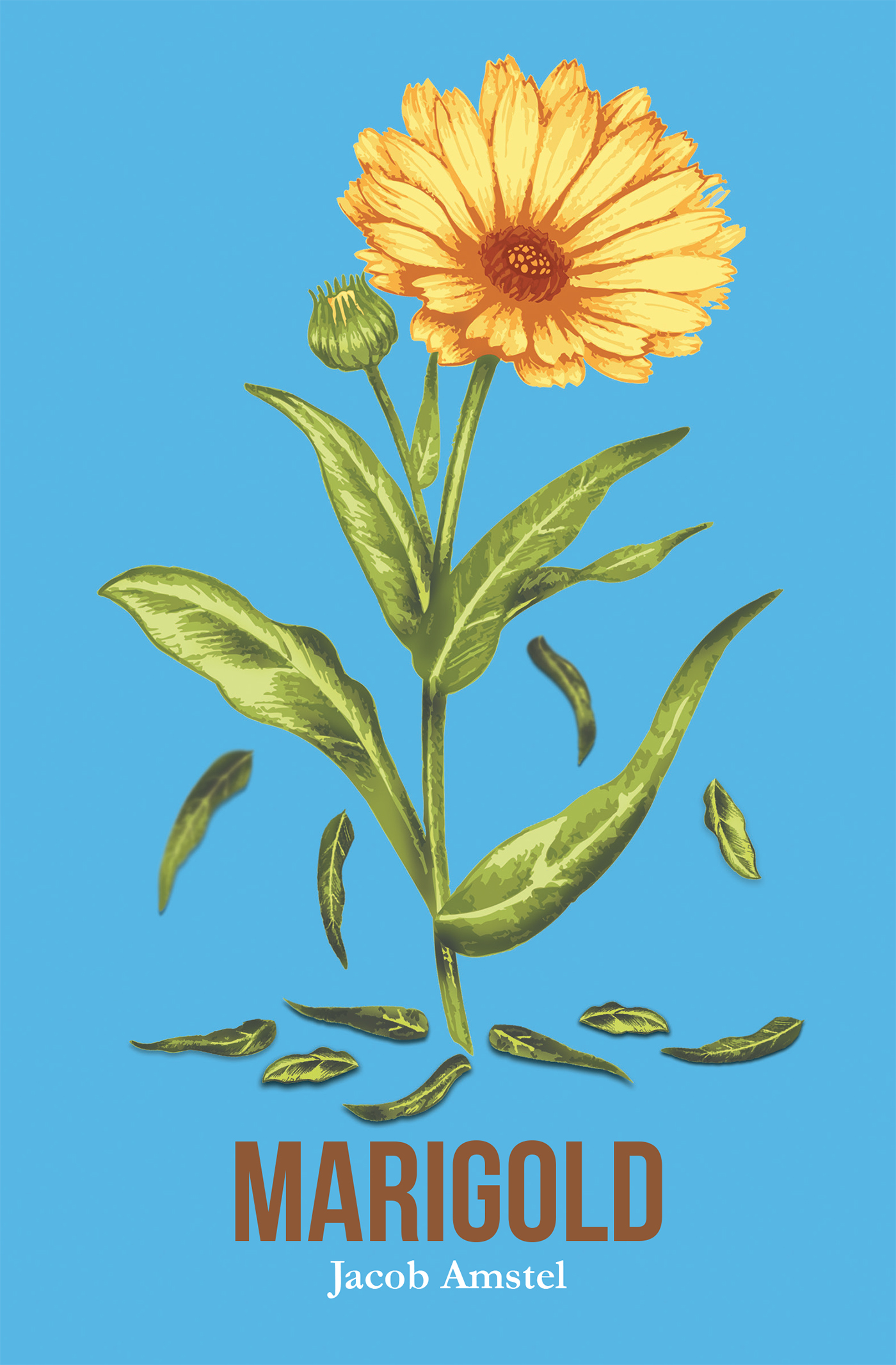 Marigold Cover Image