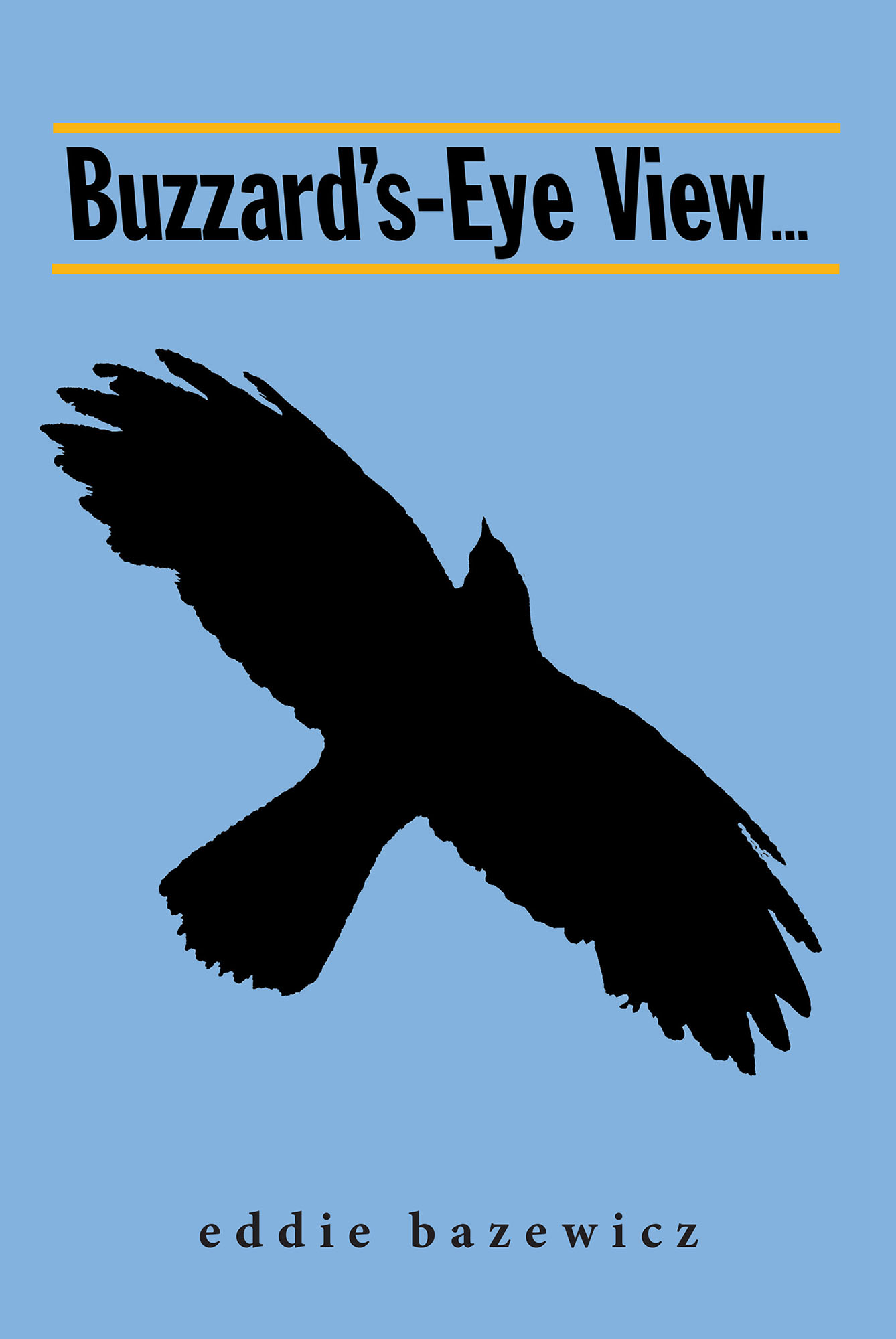 Buzzard's-Eye View Cover Image