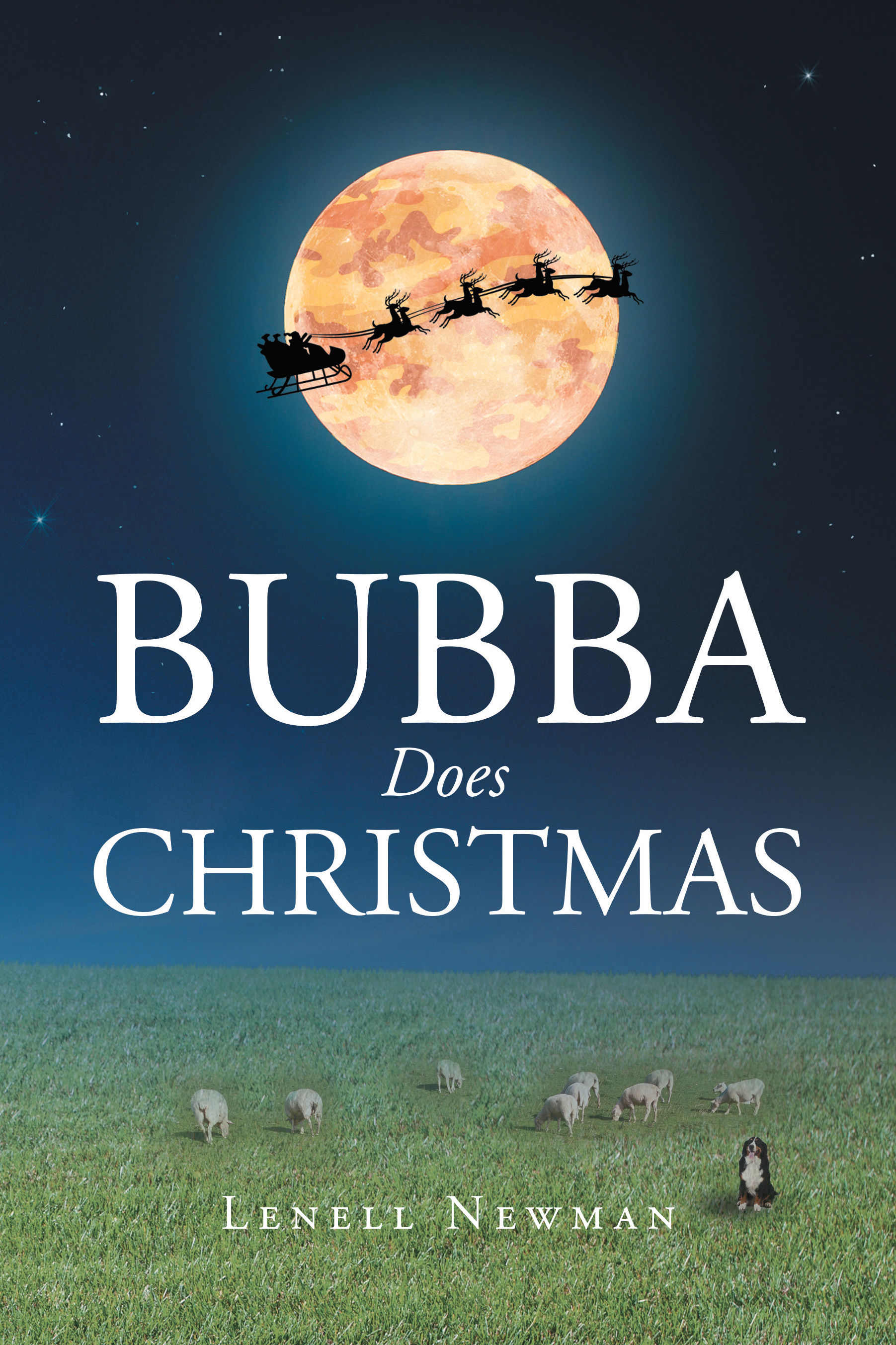 Bubba Does Christmas Cover Image
