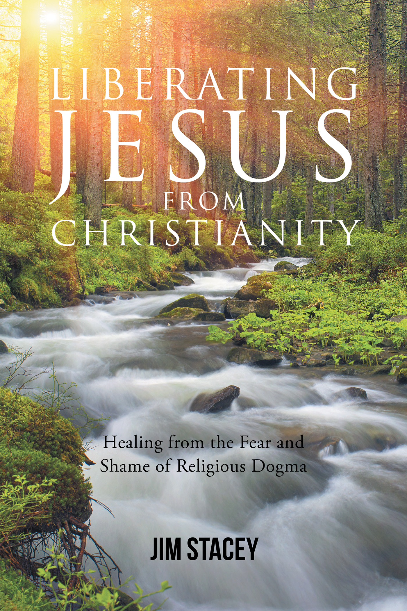 Liberating Jesus from Christianity Cover Image