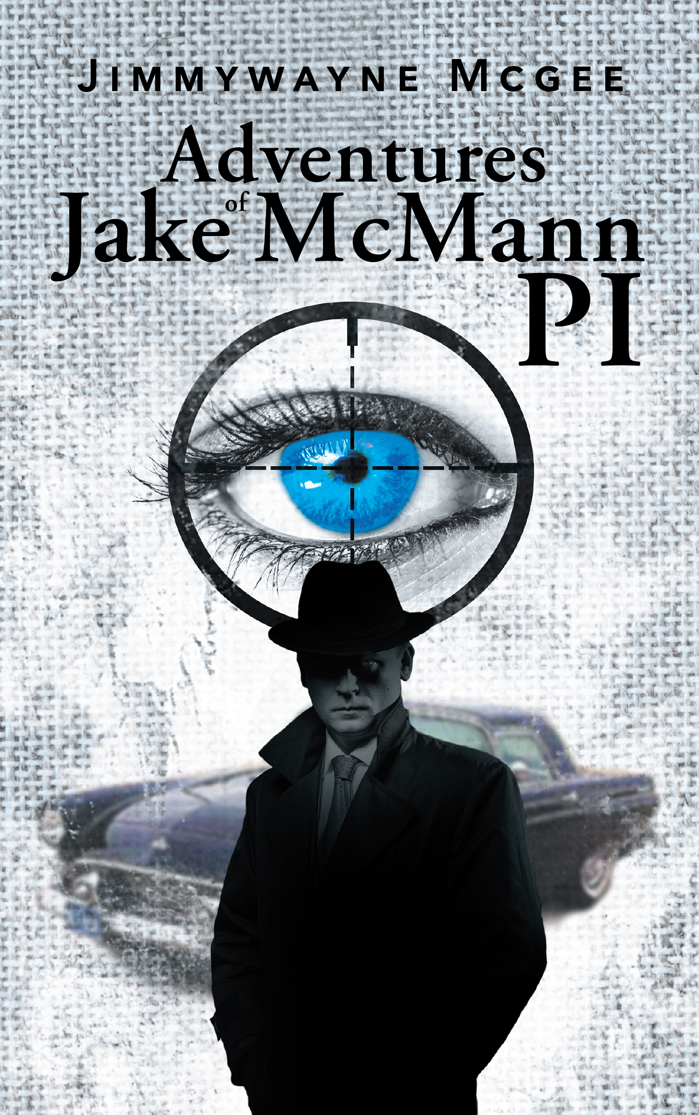 Adventures of Jake McMann PI Cover Image