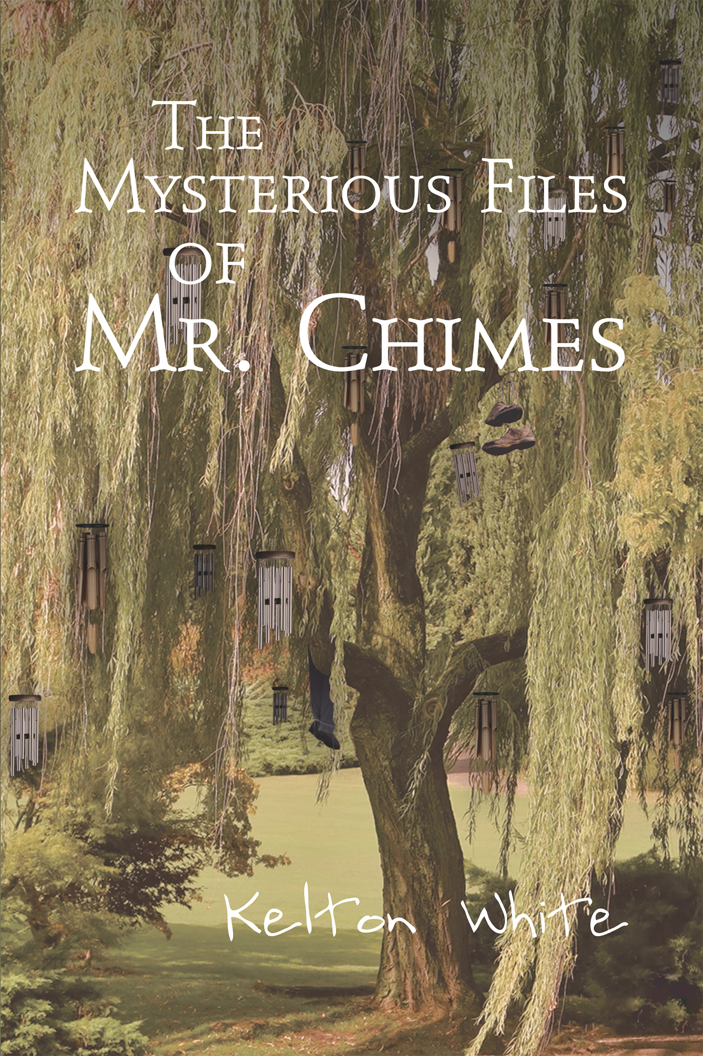 The Mysterious Files of Mr. Chimes Cover Image