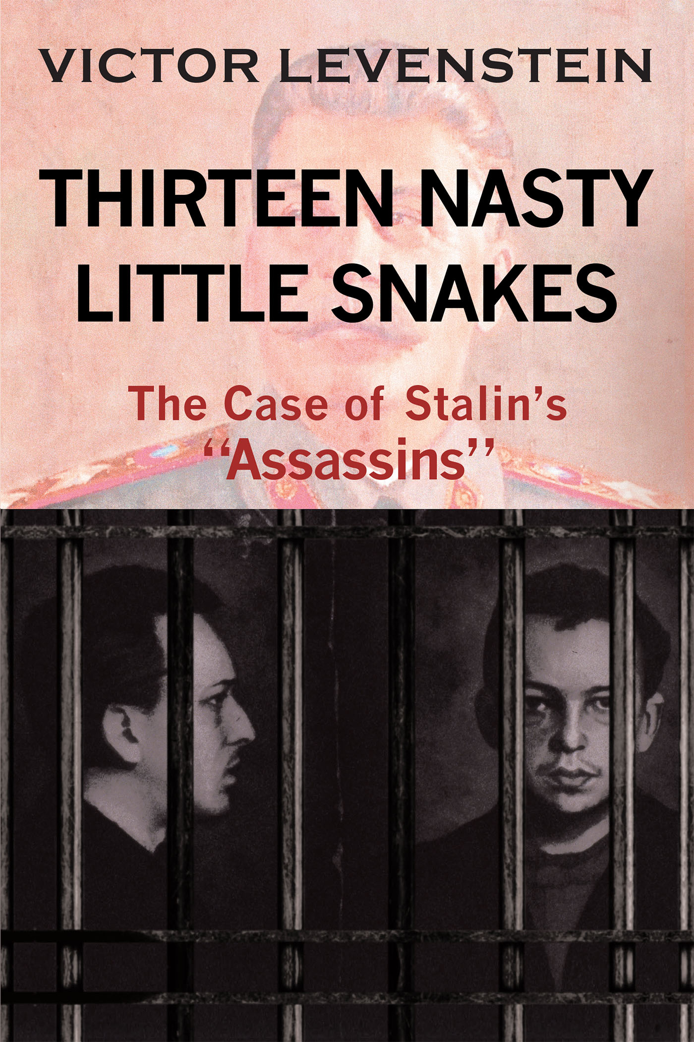 Thirteen Nasty Little Snakes, The Case of Stalin's Assassins Cover Image