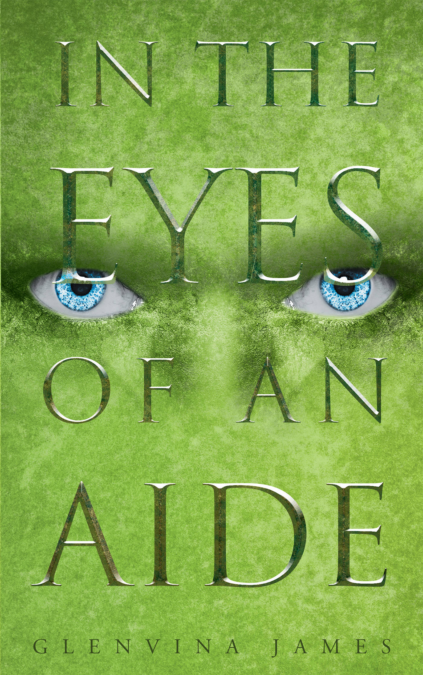 In the Eyes of an Aide Cover Image