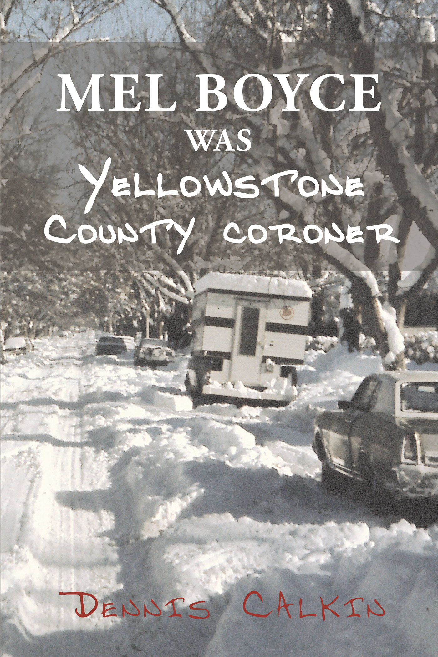 Mel Boyce was Yellowstone County Coroner Cover Image