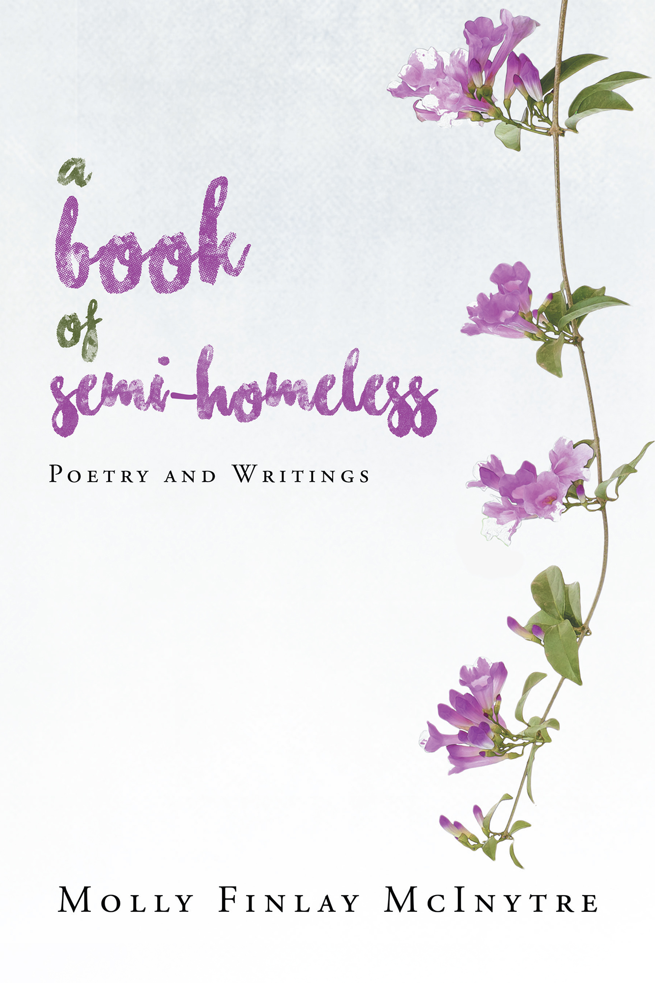 A Book of Semi-Homeless Poetry and Writings Cover Image