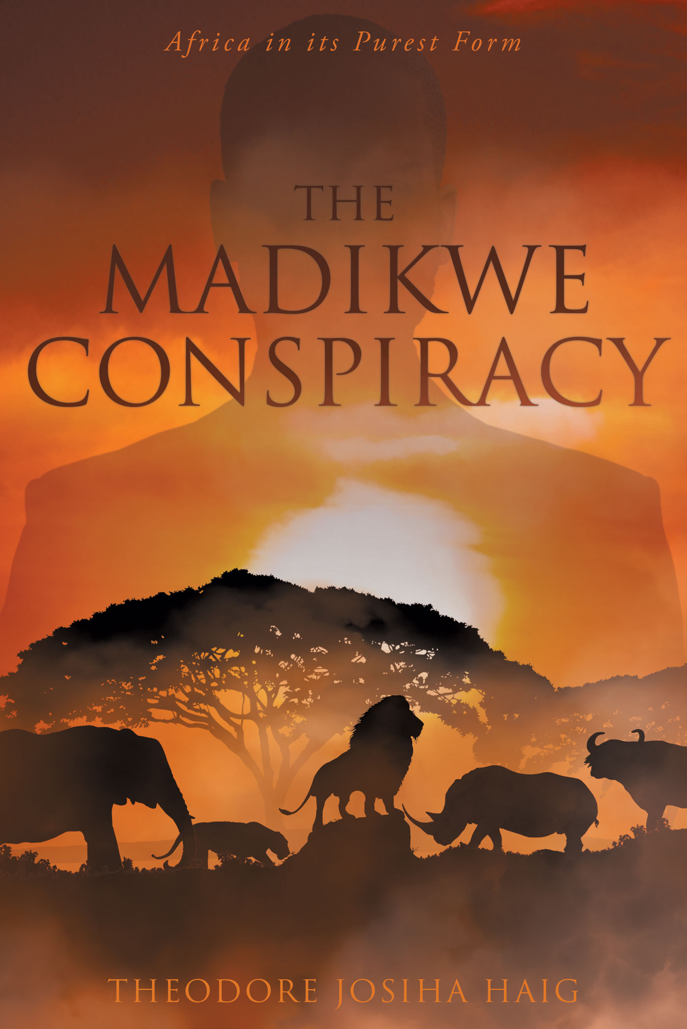 The Madikwe Conspiracy Cover Image