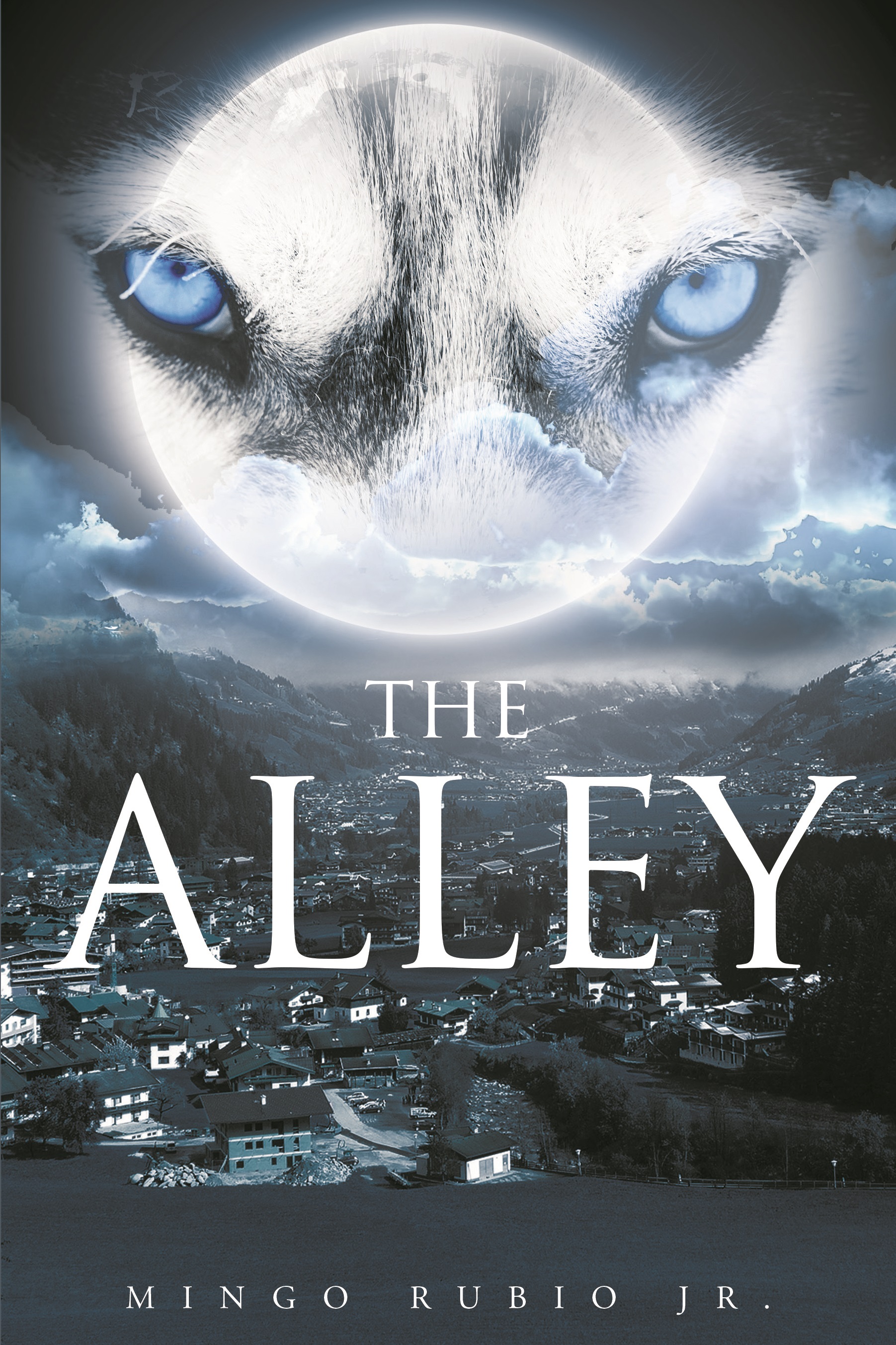 The Alley Cover Image