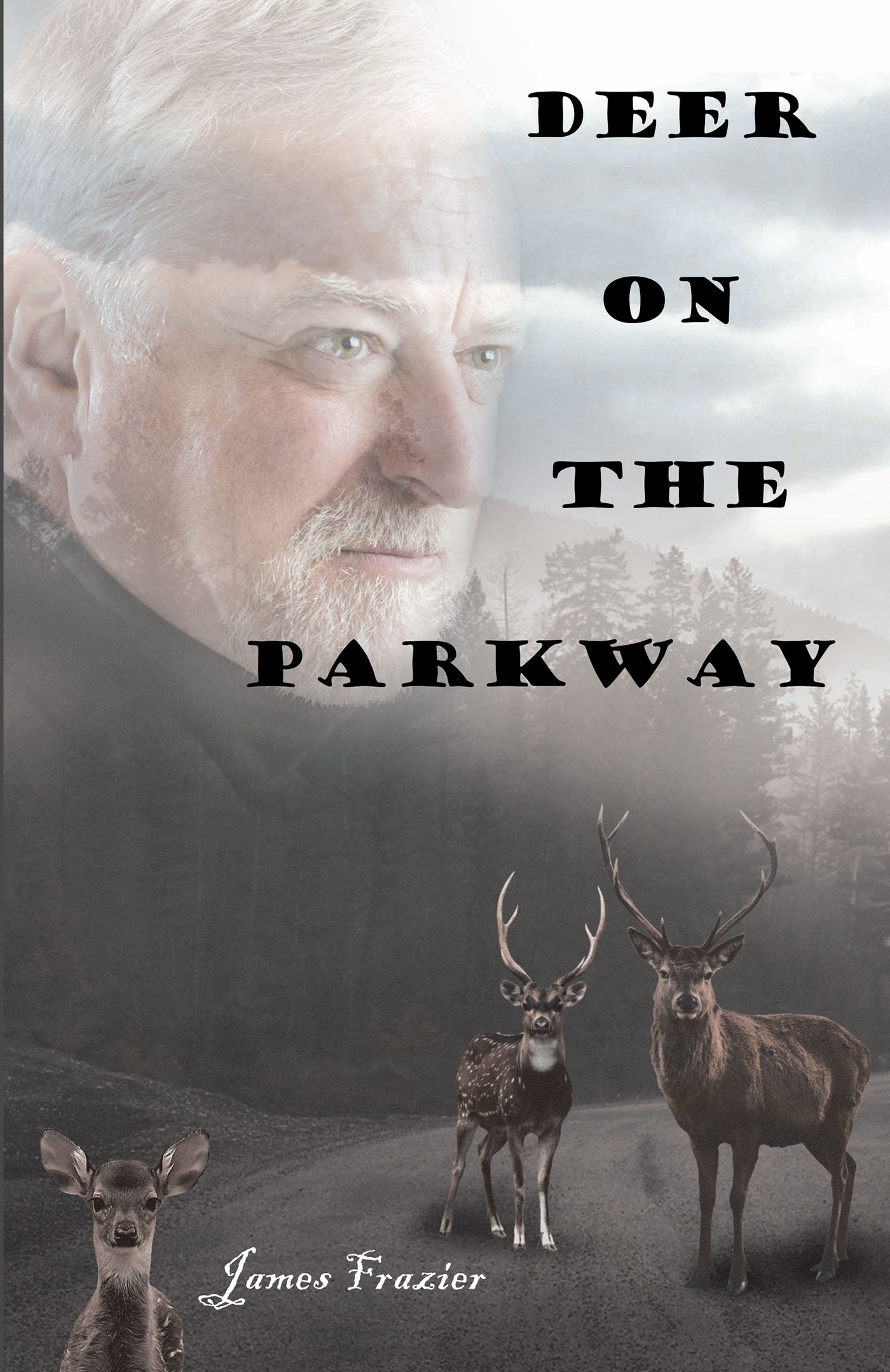 Deer on the Parkway Cover Image