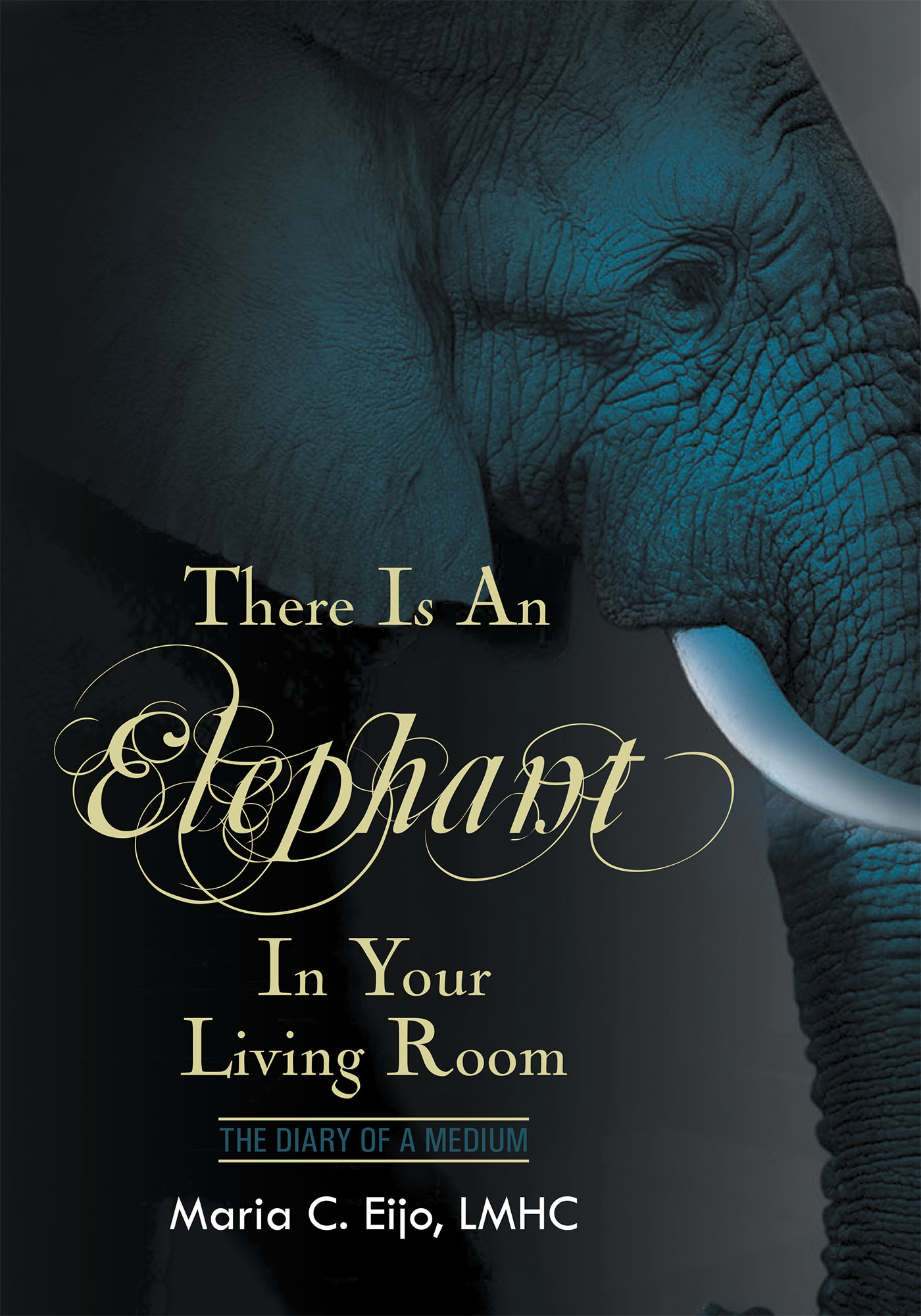 There is an Elephant in Your Living Room Cover Image
