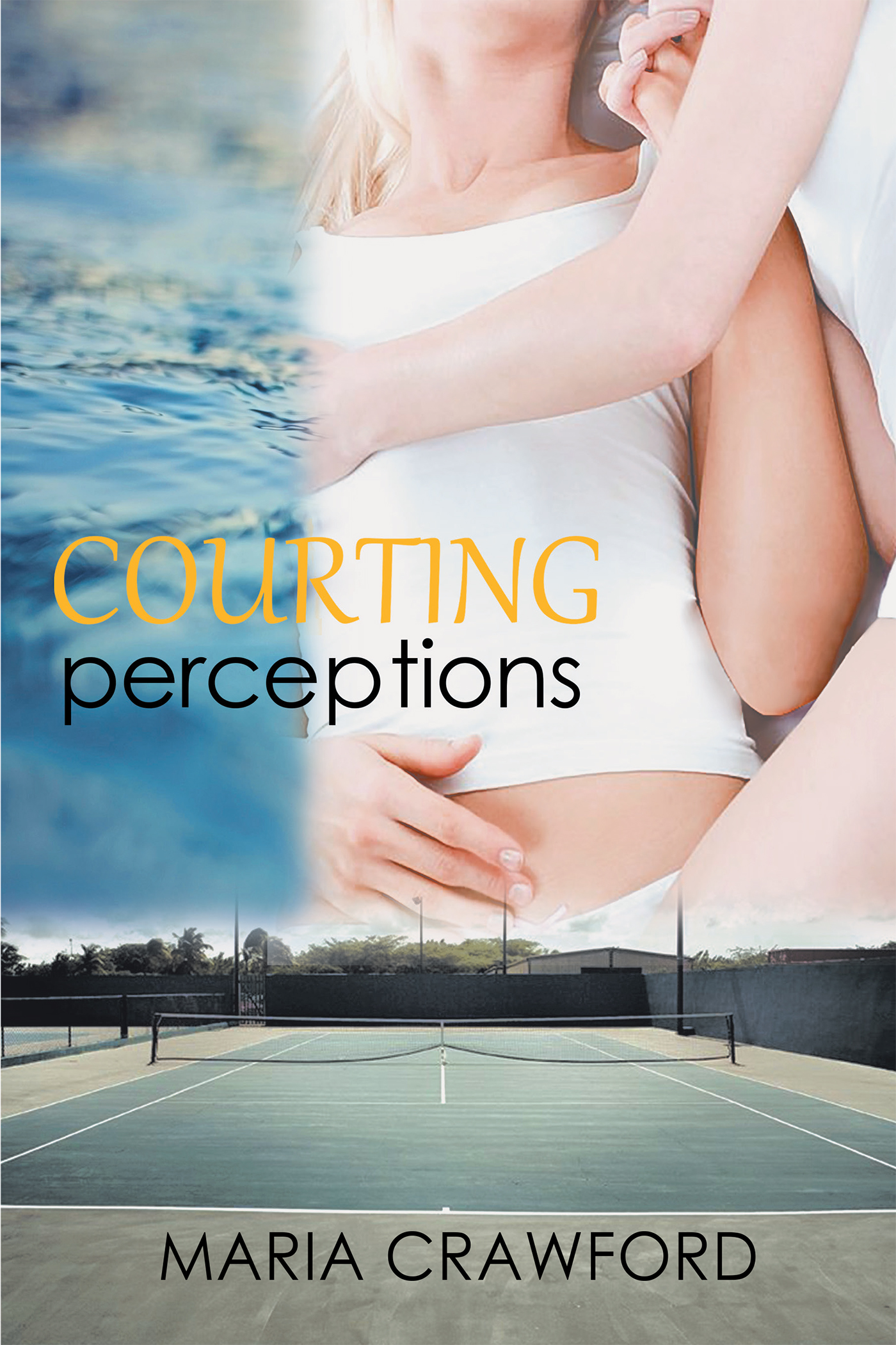 Courting Perceptions Cover Image