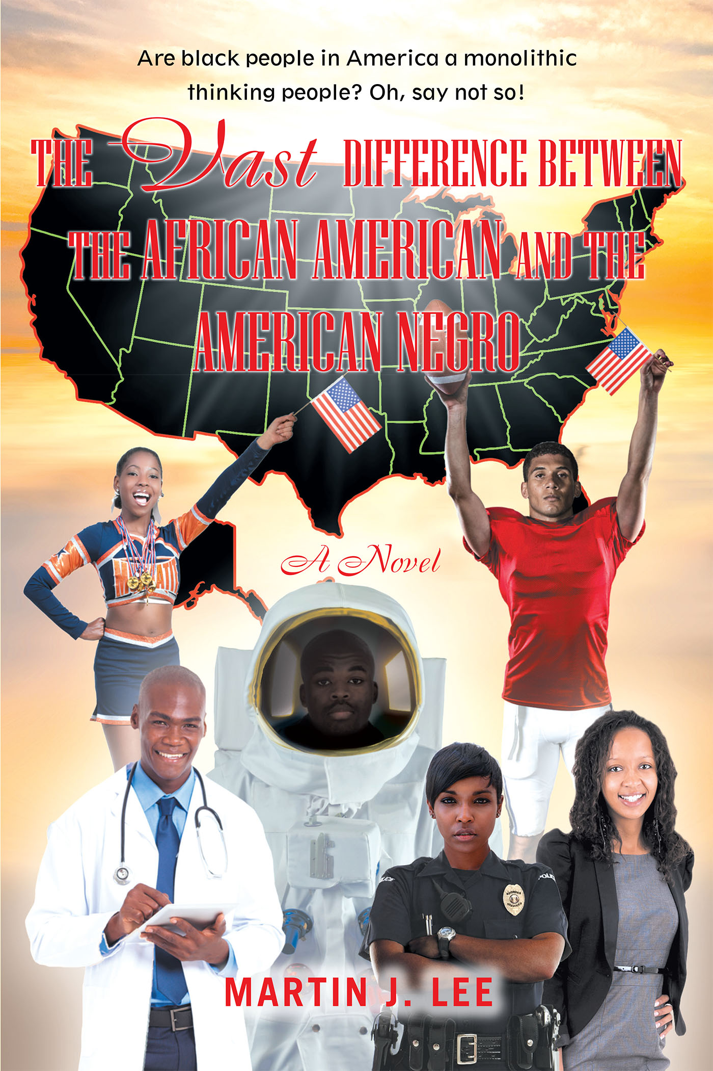 The Vast Difference between the African American and the American Negro Cover Image