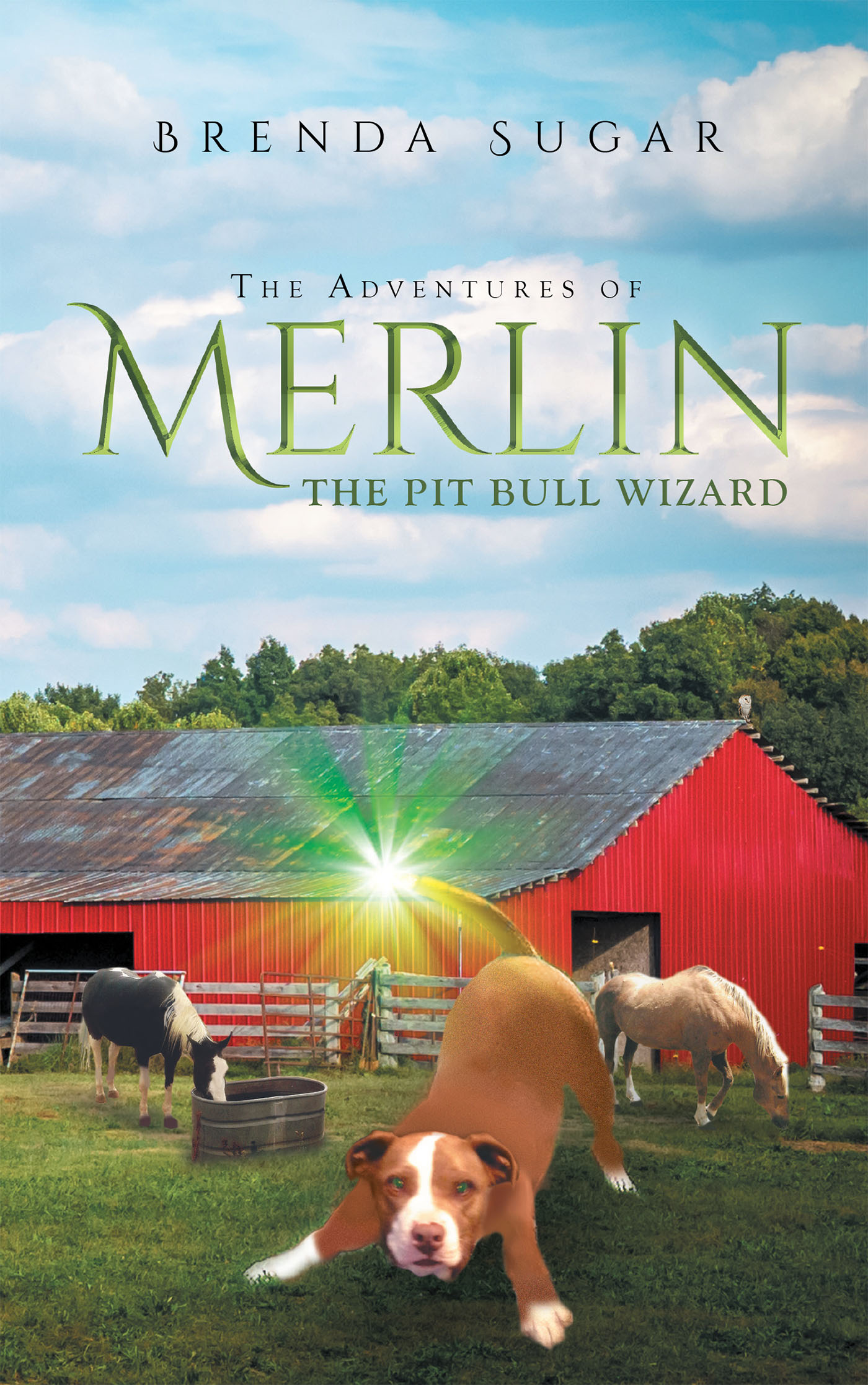 The Adventures of Merlin the Pit Bull Wizard Cover Image