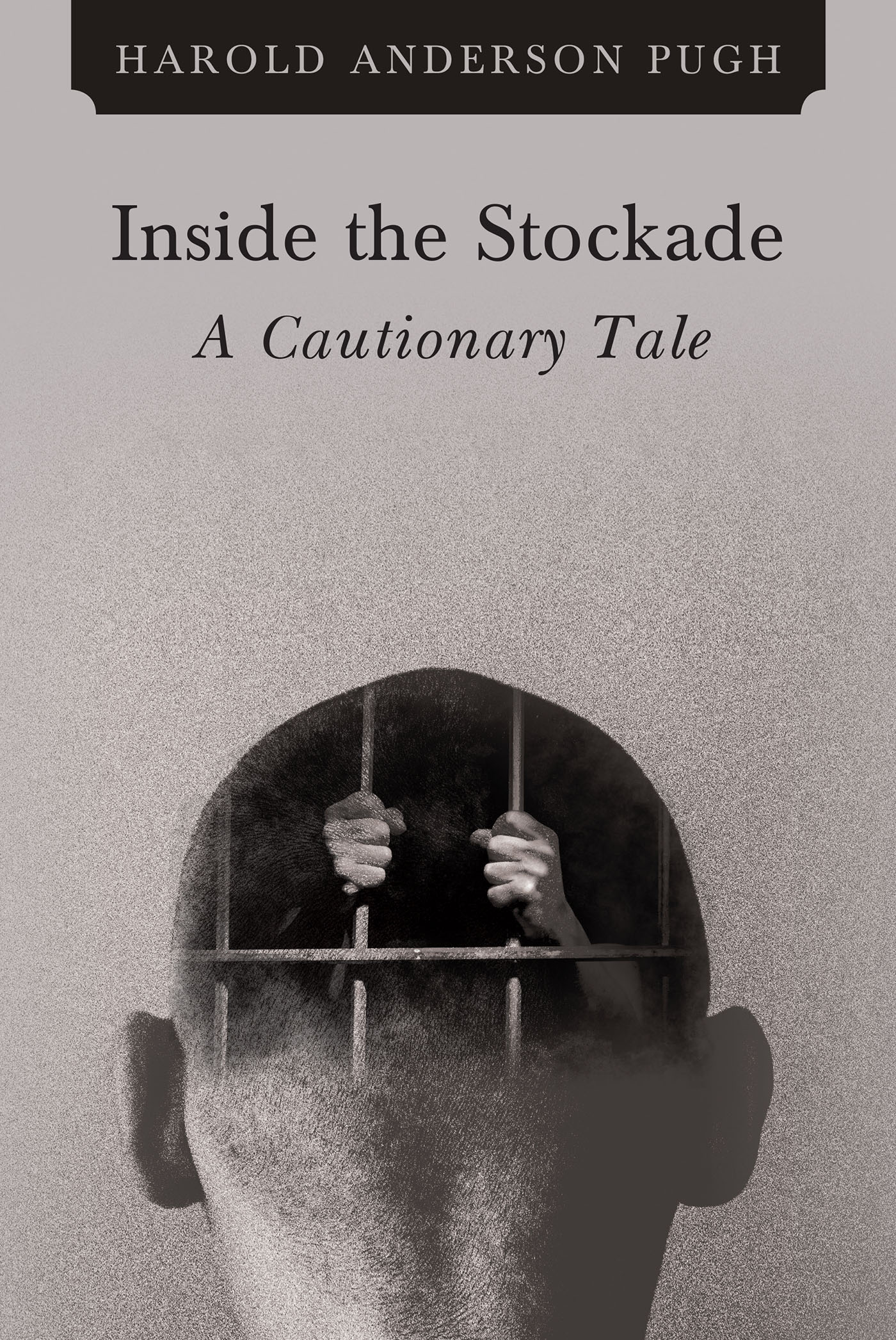 Inside the Stockade a Cautionary Tale Cover Image