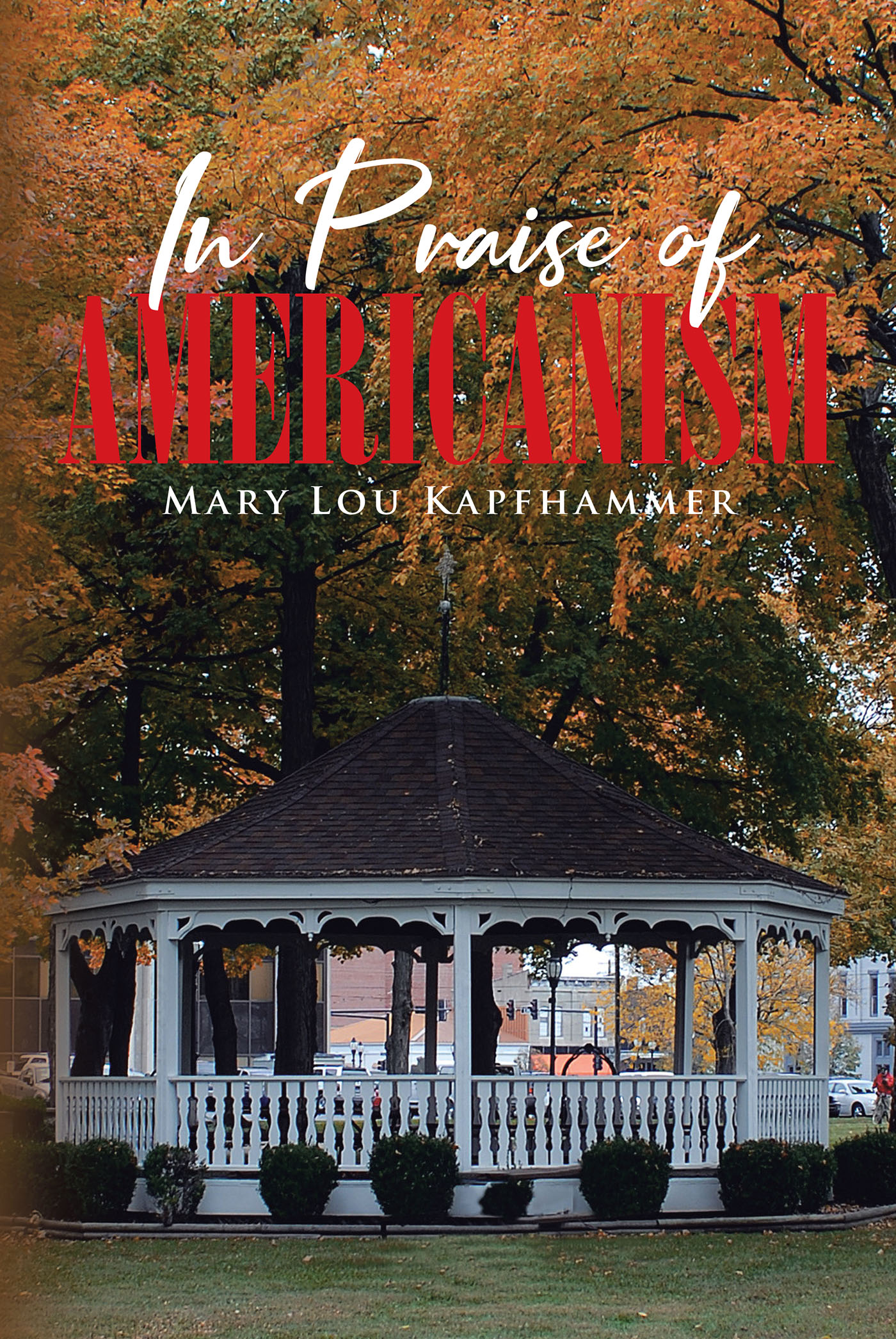 In Praise of Americanism Cover Image