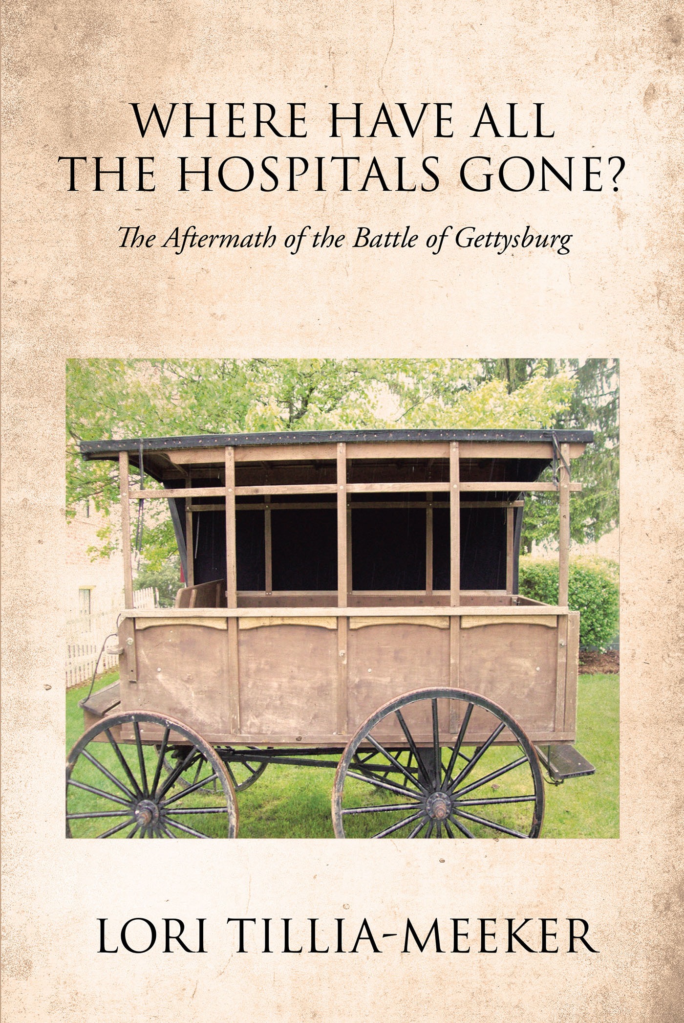Where Have All the Hospitals Gone? Cover Image