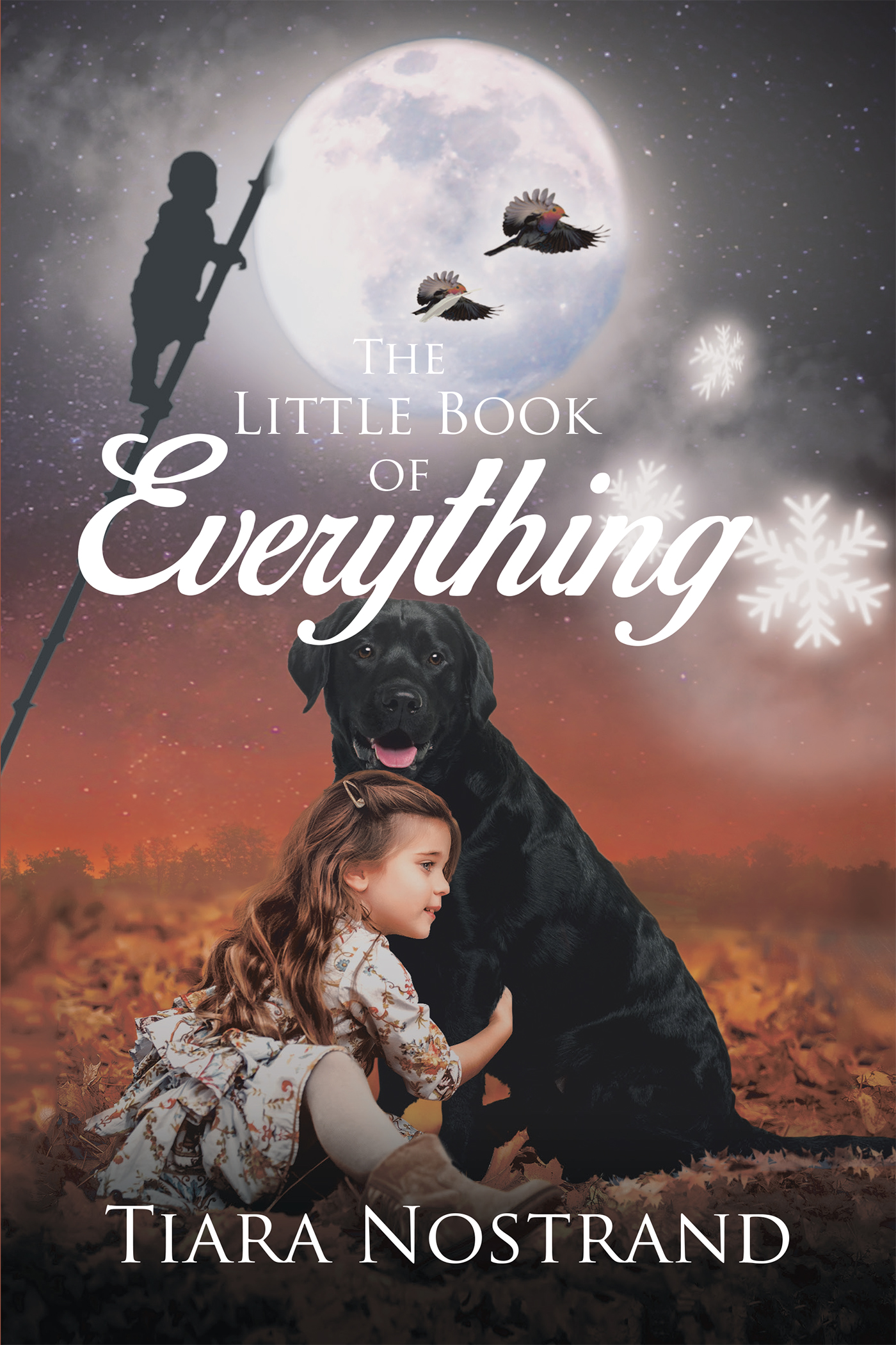 The Little Book of Everything Cover Image