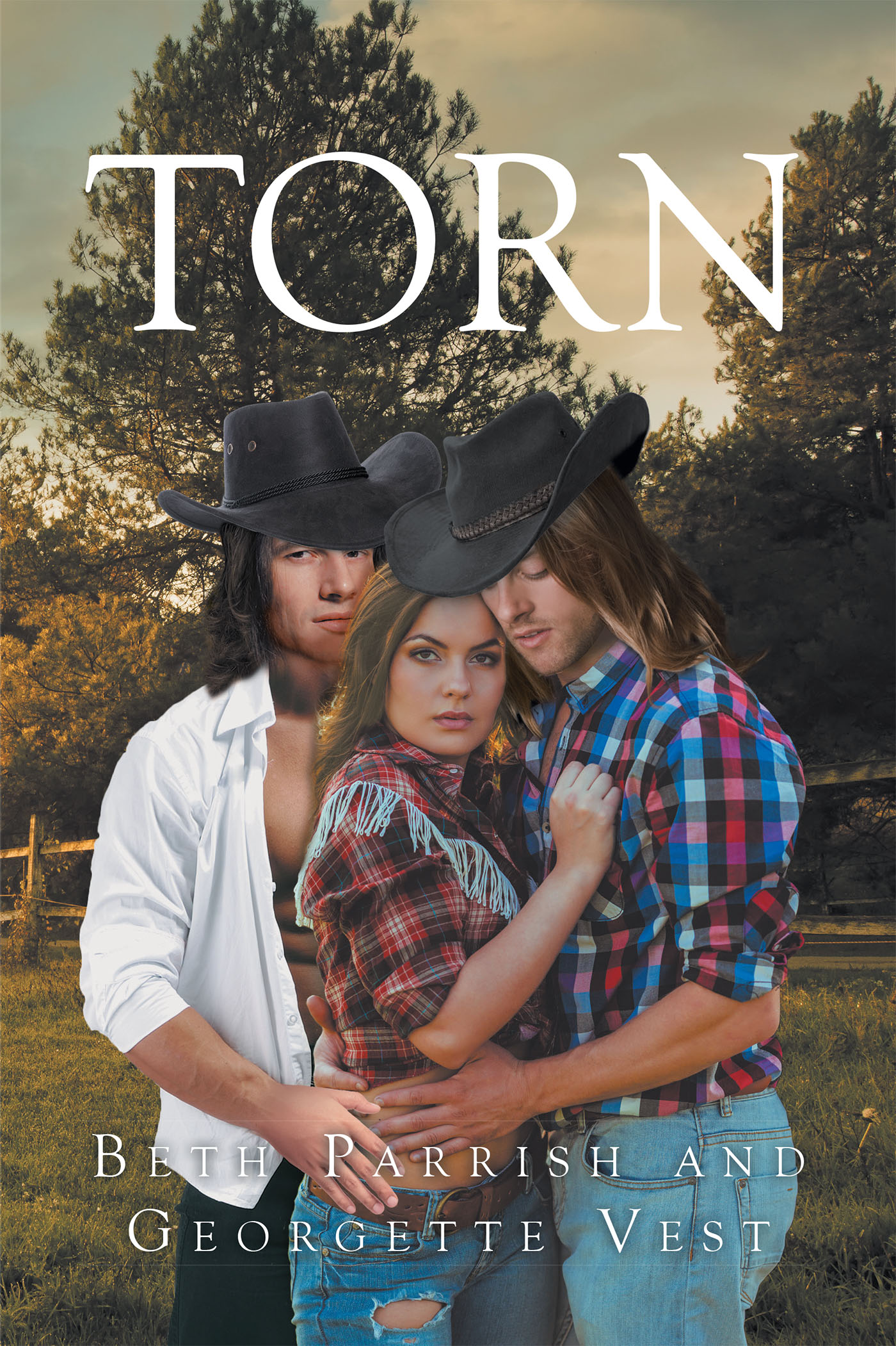 Torn Cover Image