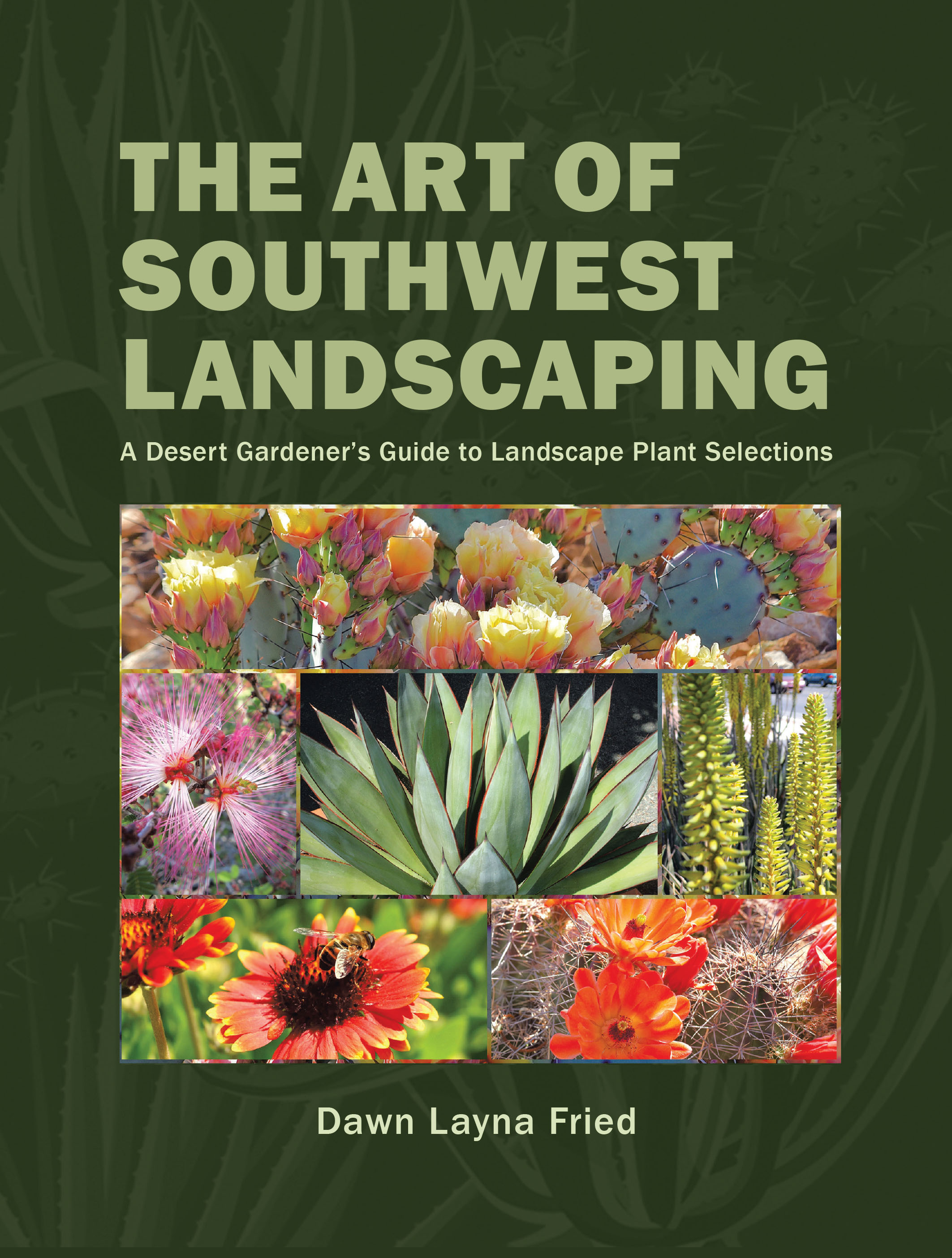 The Art of Southwest Landscaping Cover Image