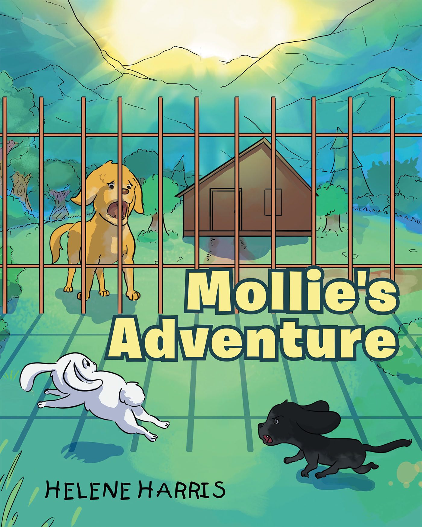 Mollie's Adventure Cover Image